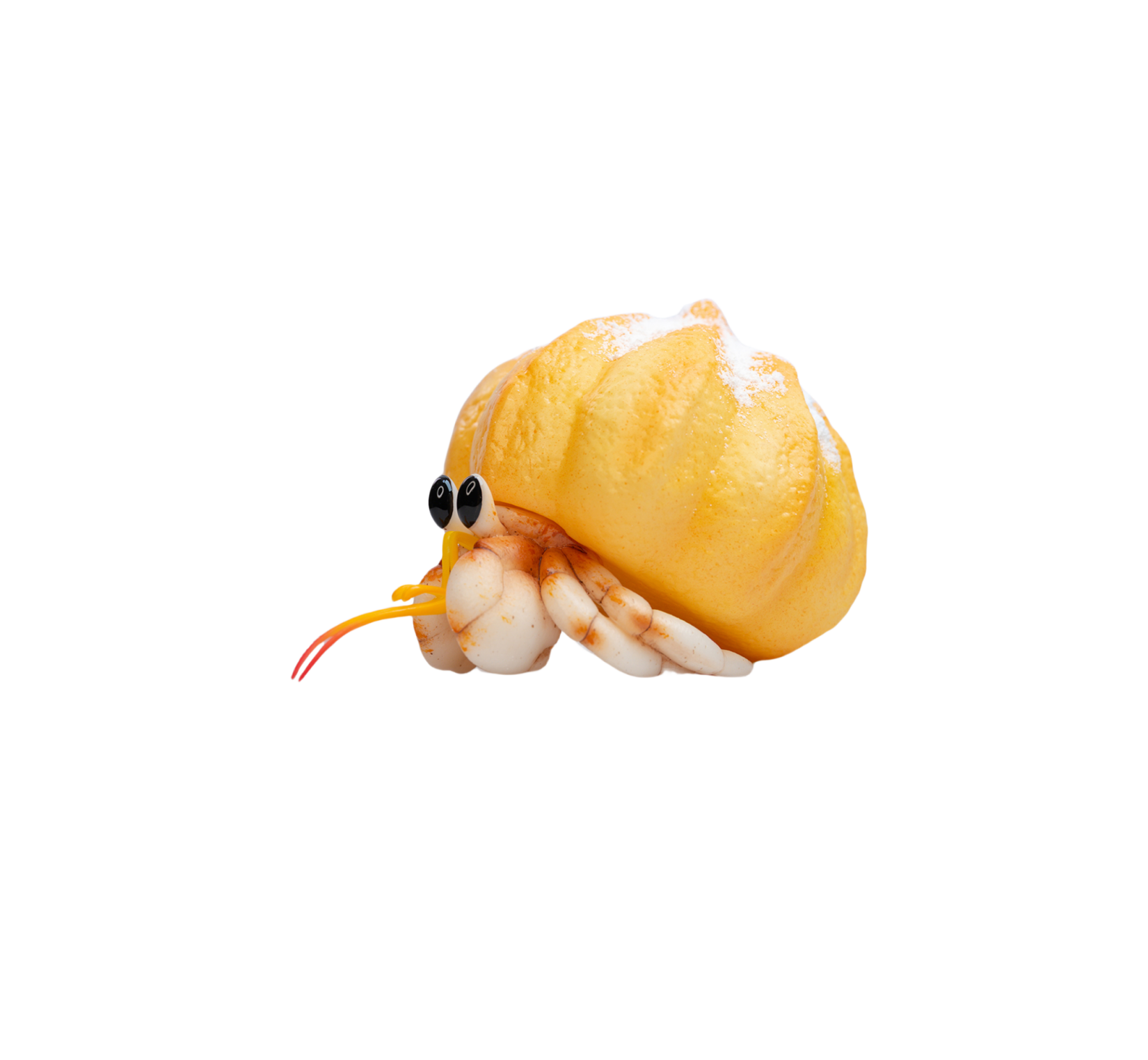Hermit Crabs Model Paguroidea Figure