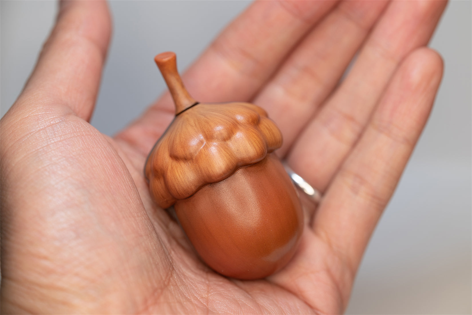 Squirrel in an Acorn Winter Edition Figure