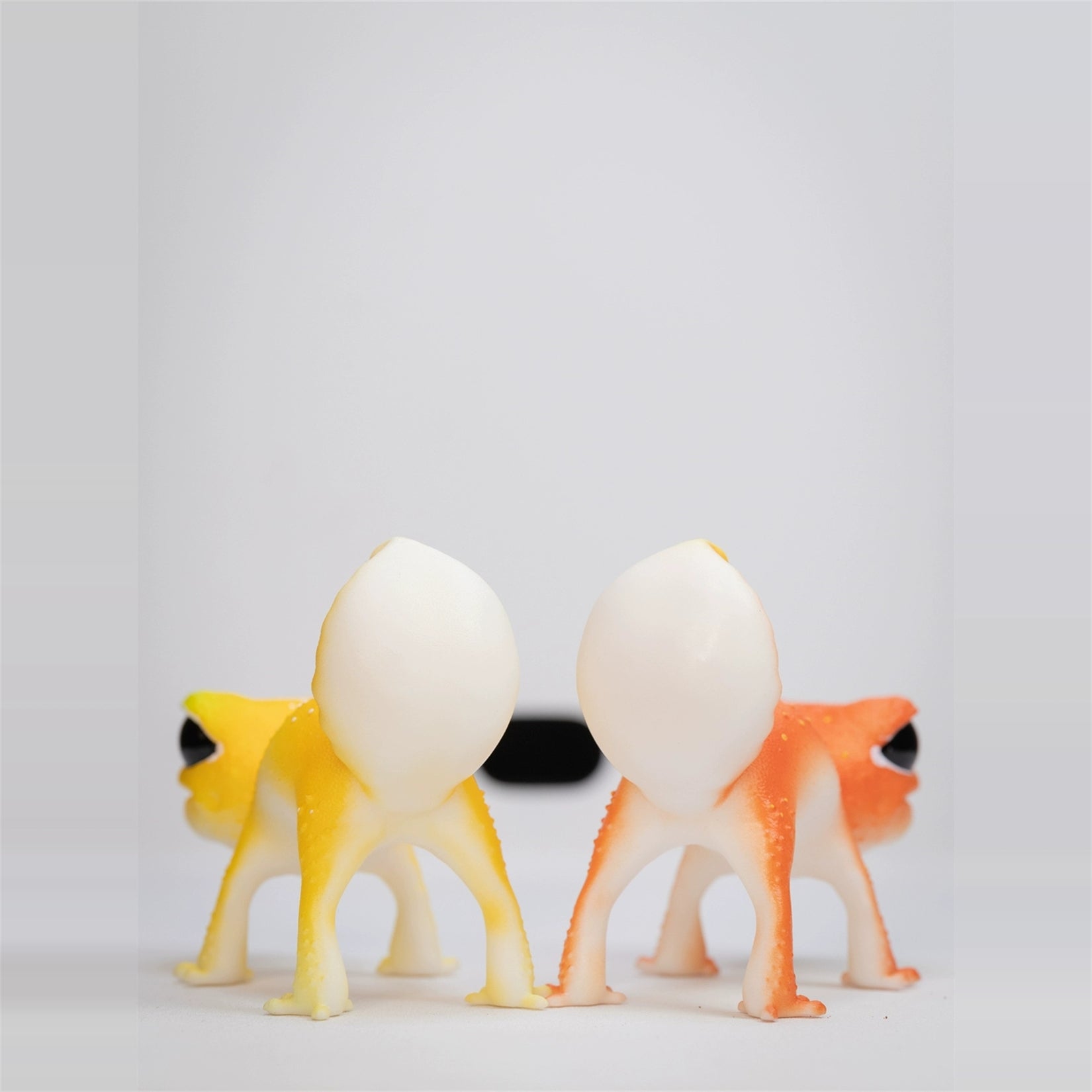 Nephrurus Levis Model Limited Edition