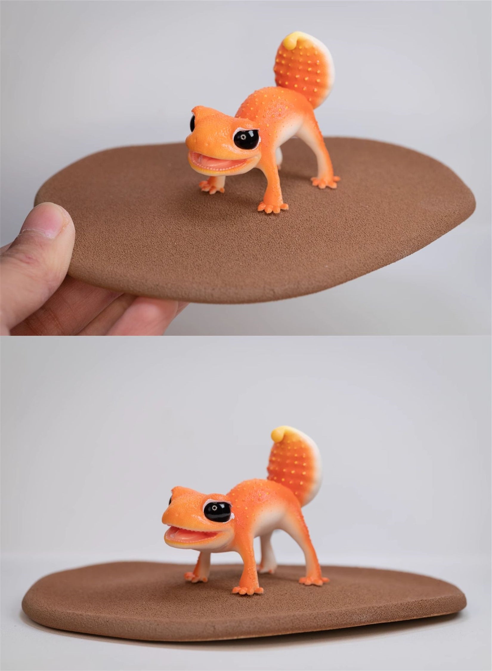 Nephrurus Levis Model Limited Edition