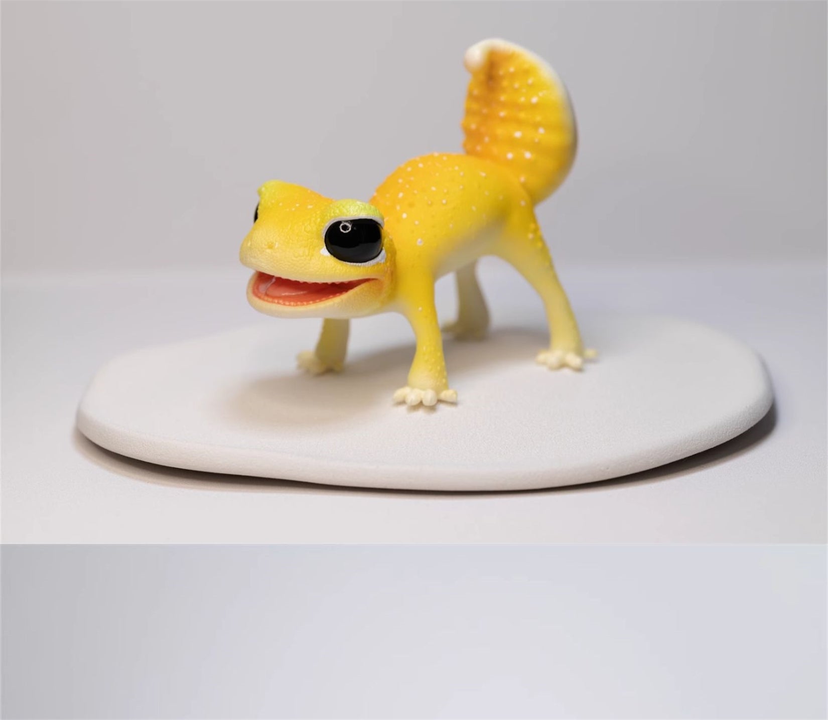 Nephrurus Levis Model Limited Edition