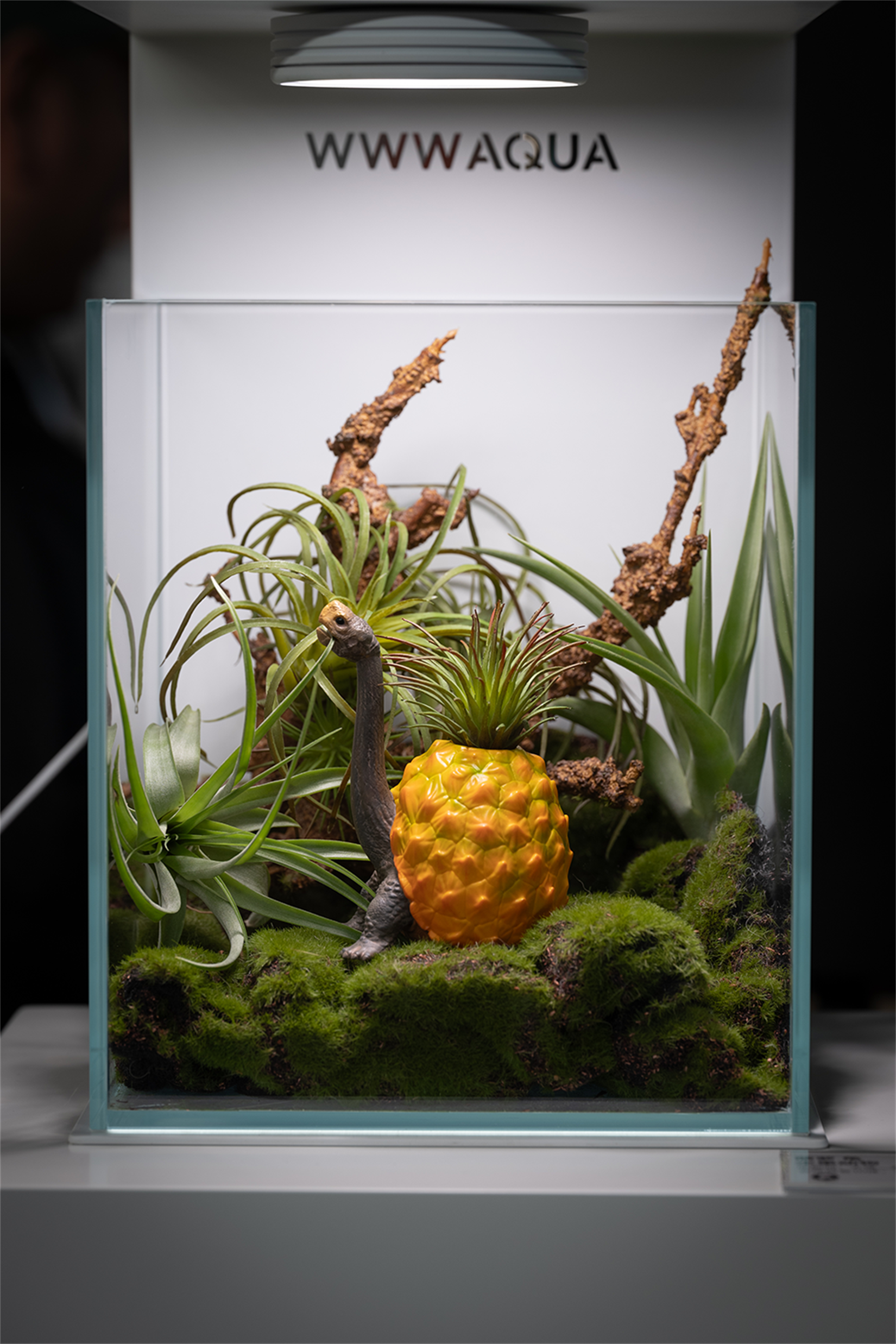 Pineapple Turtle Fruit Animal Decorative Figurine