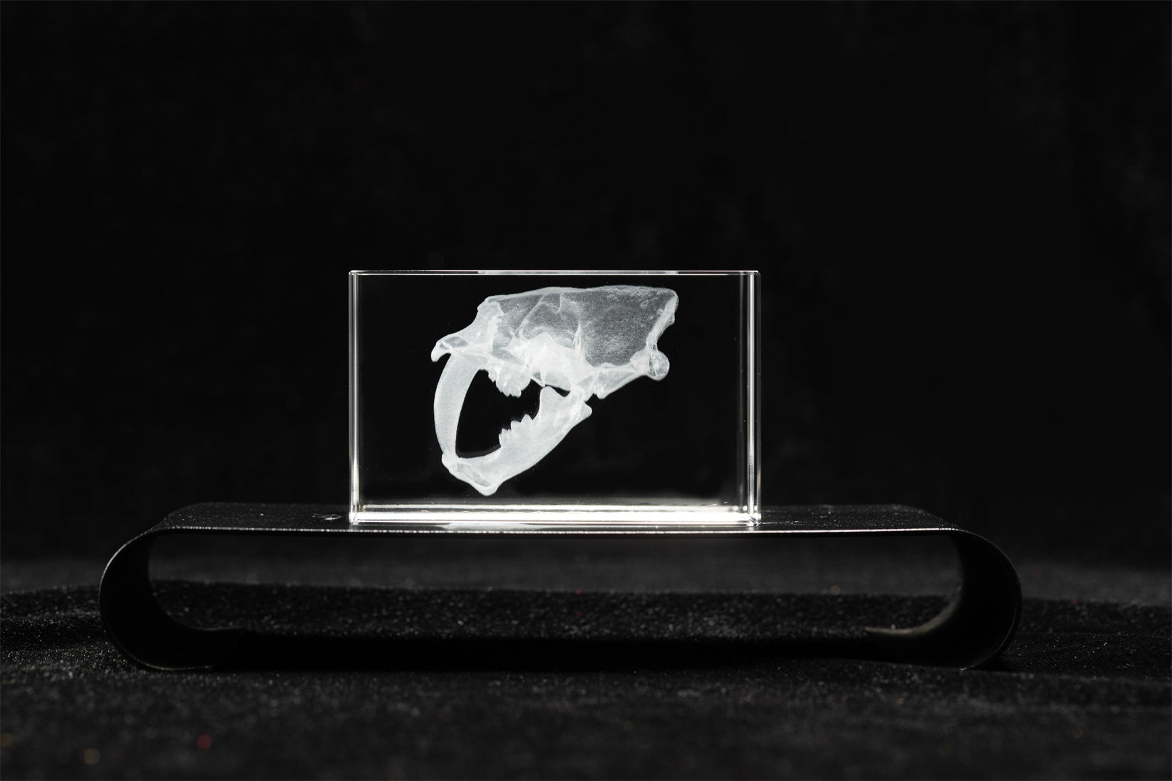 Smilodon Crystal Statue