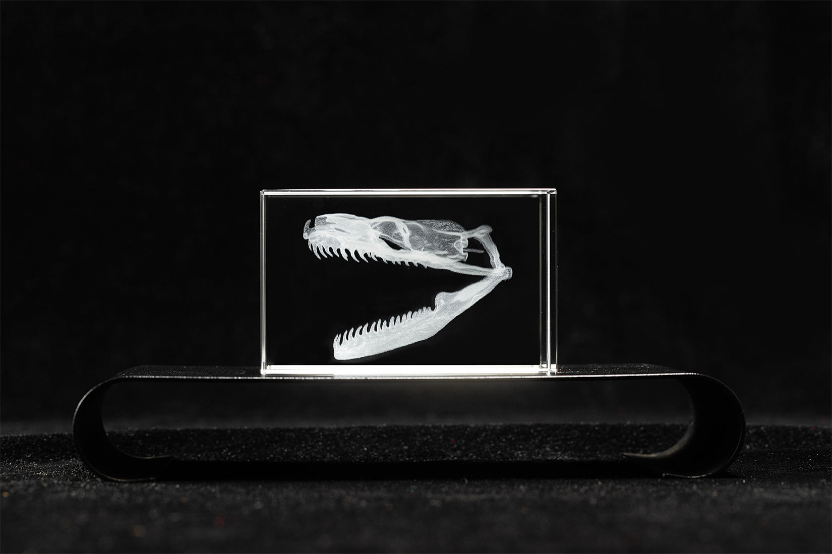 Titan Boa Skull Crystal Ornament