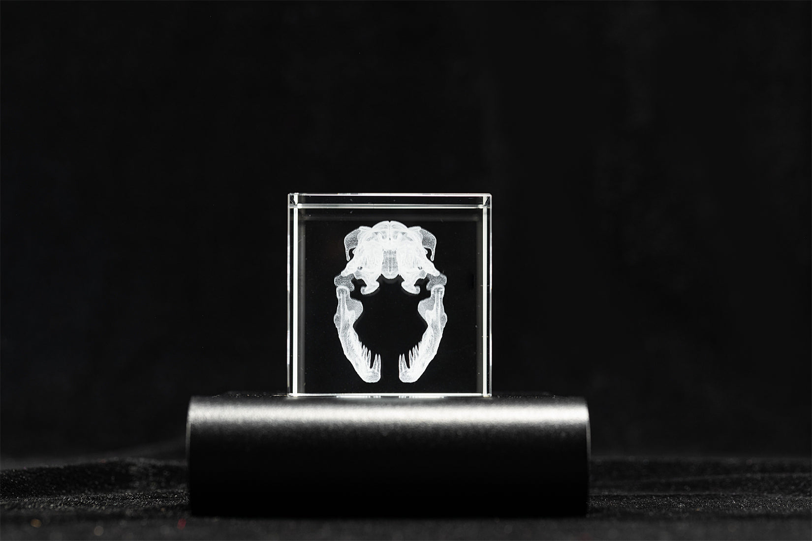 Titan Boa Skull Crystal Ornament