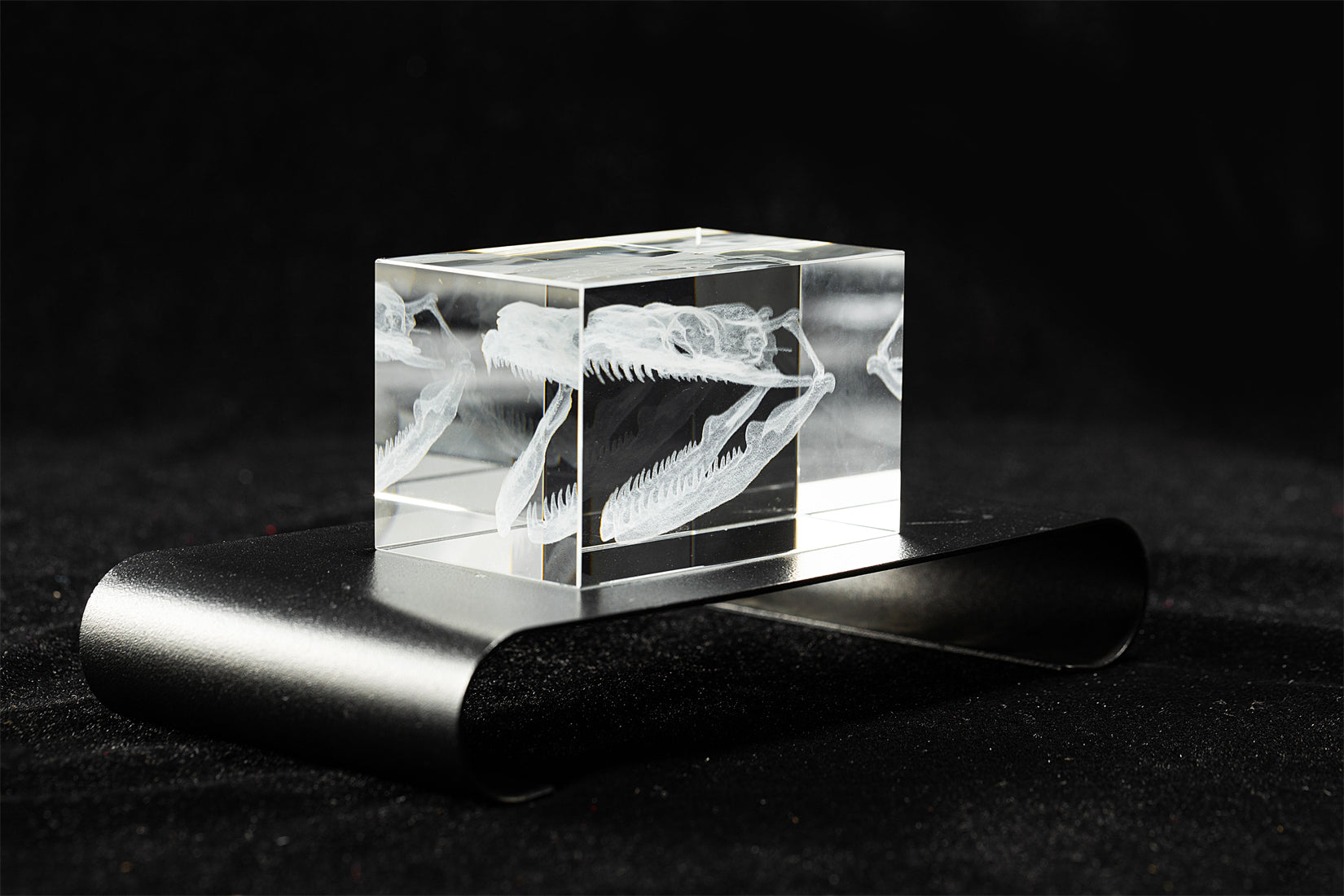 Titan Boa Skull Crystal Ornament