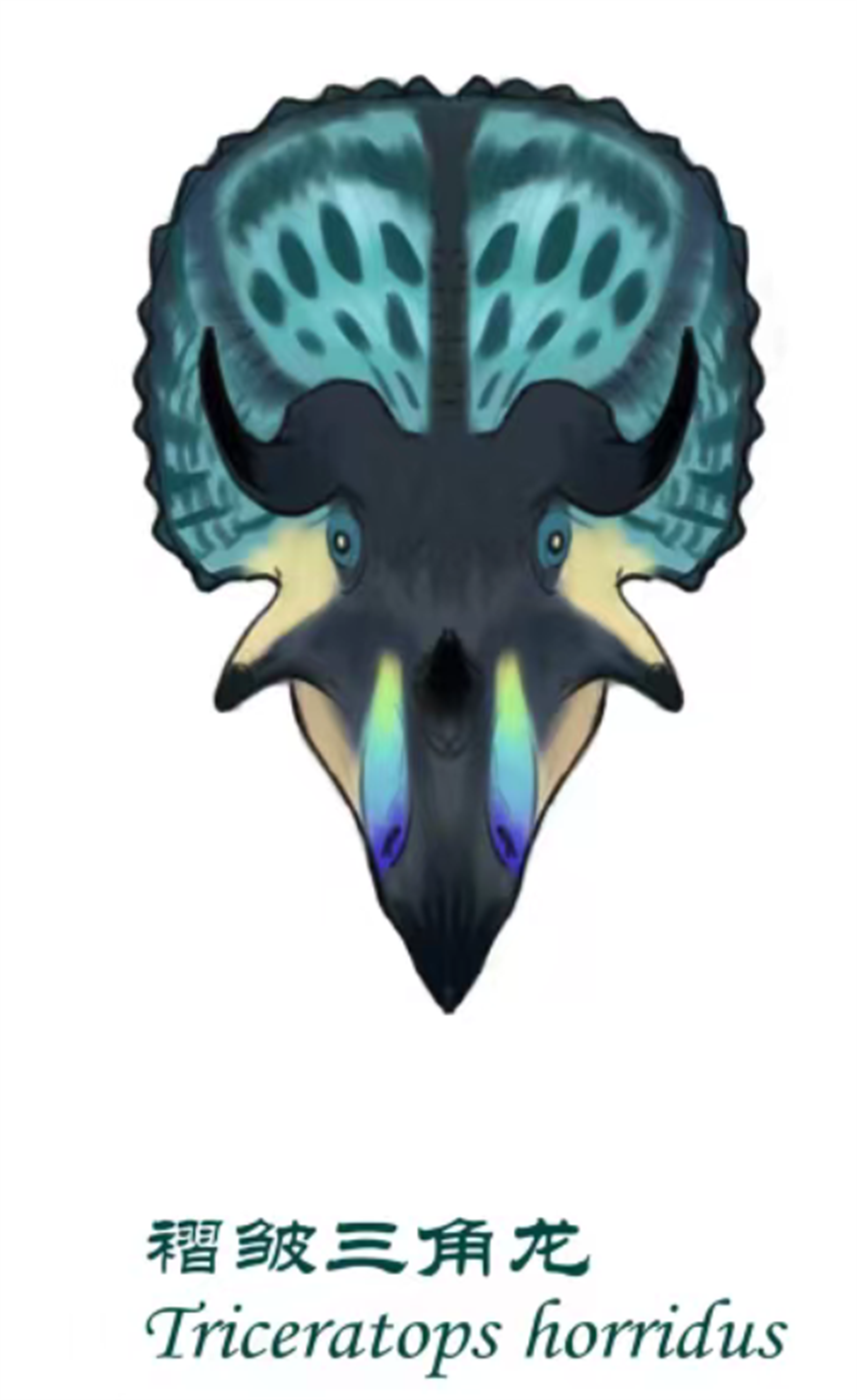 Cerastes Cornutus Schlangenmodell 