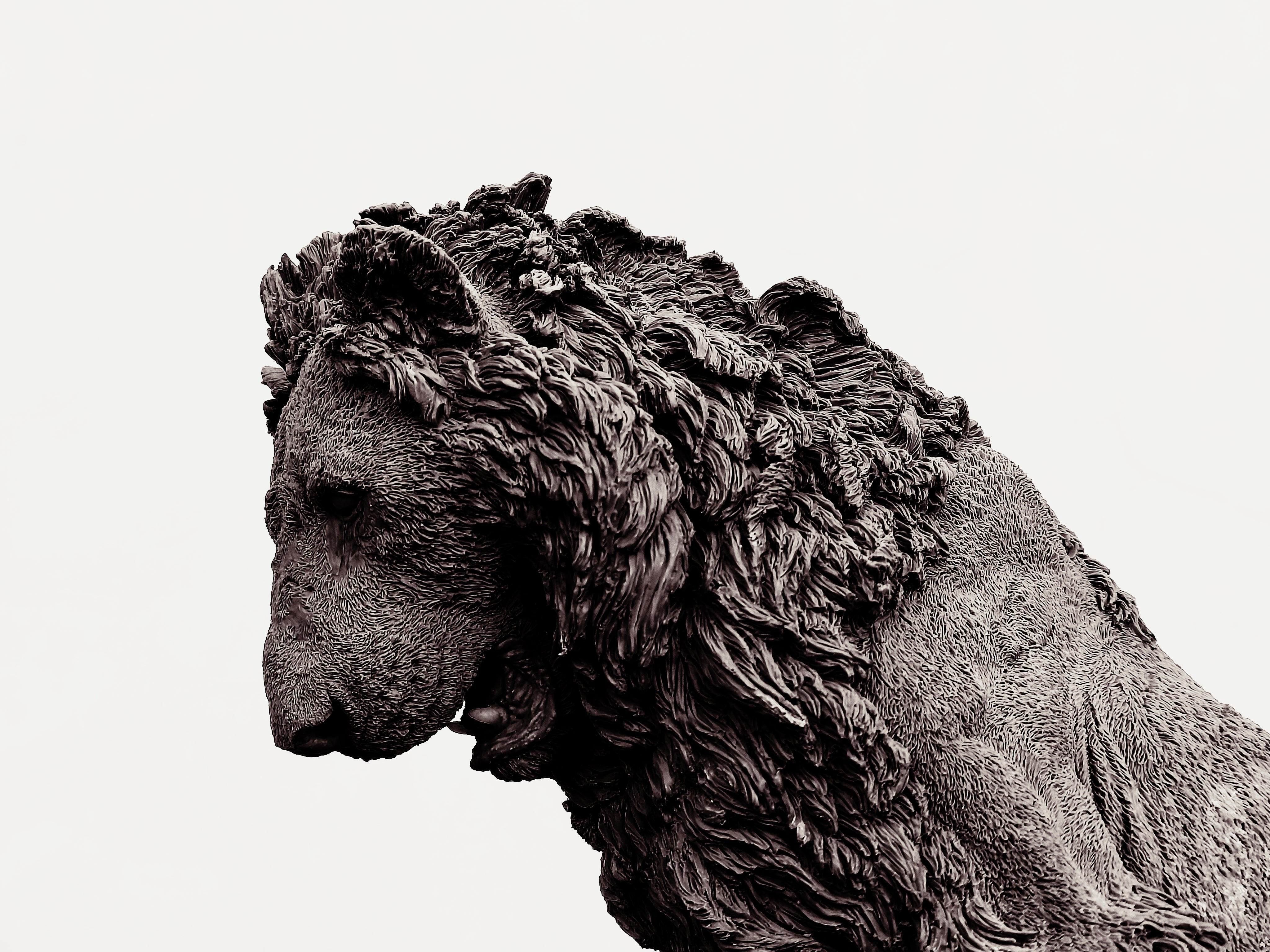 TUNAN Studio 1/6 Scale Lion Loonkito Model