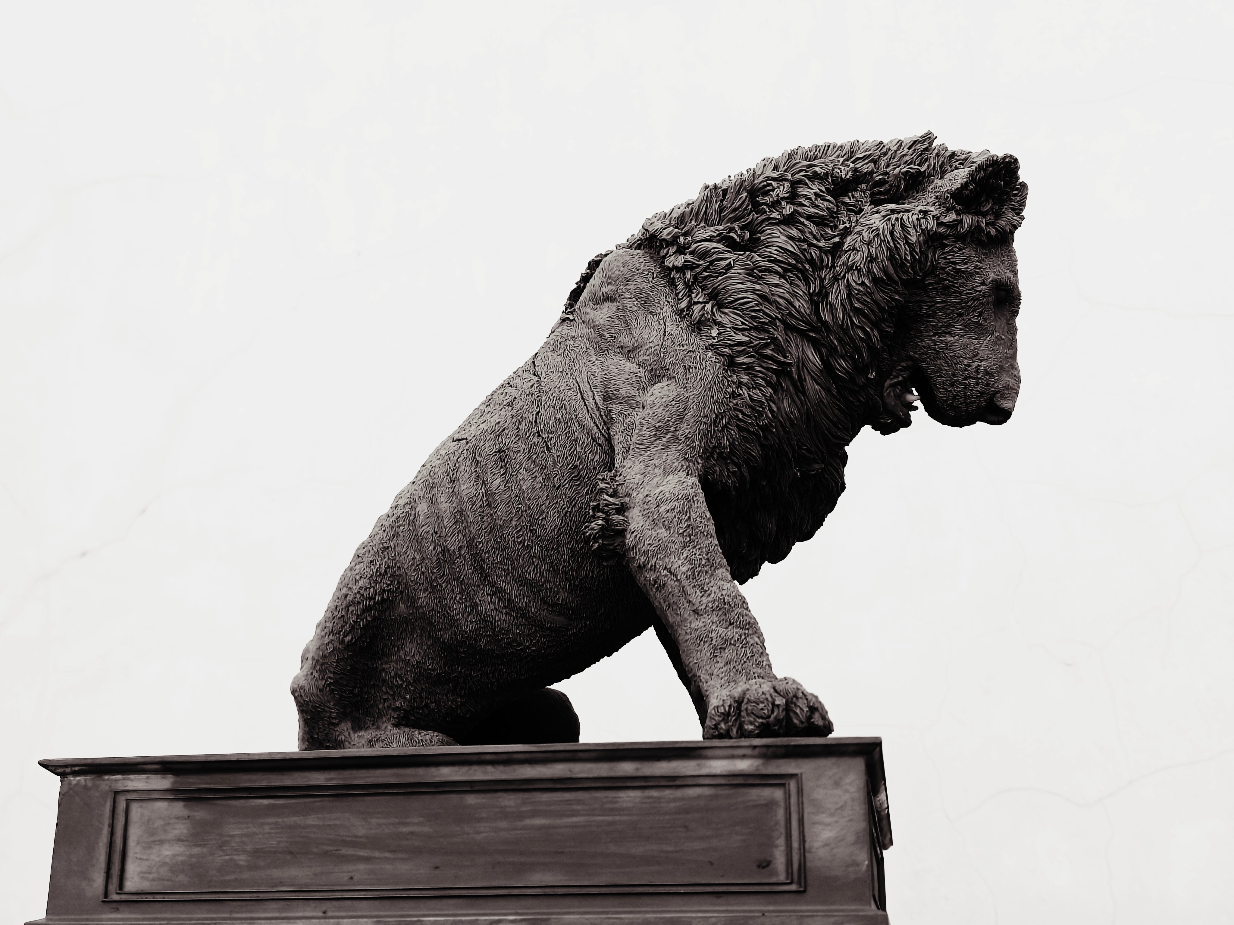 TUNAN Studio 1/6 Scale Lion Loonkito Model