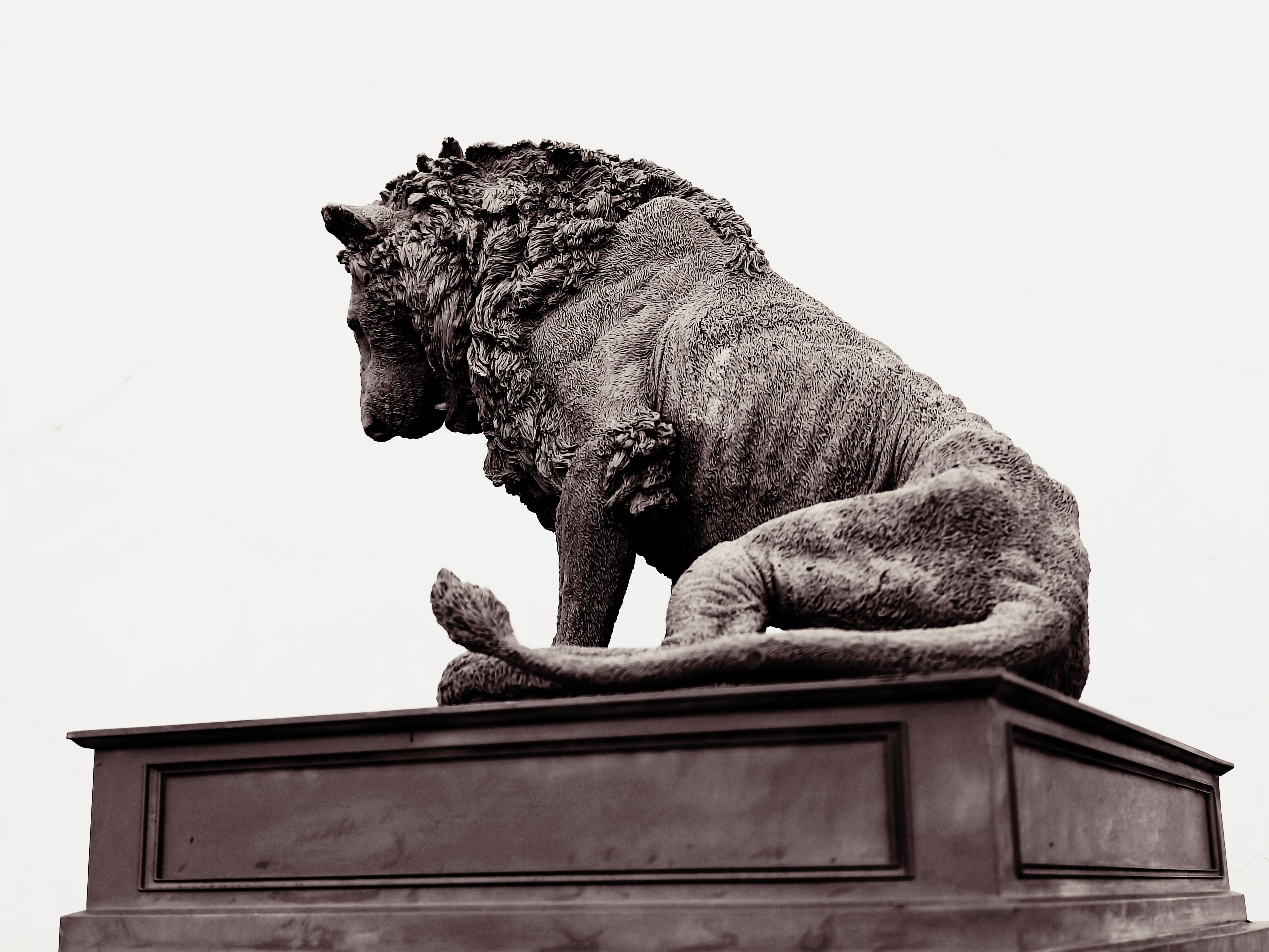 TUNAN Studio 1/6 Scale Lion Loonkito Model