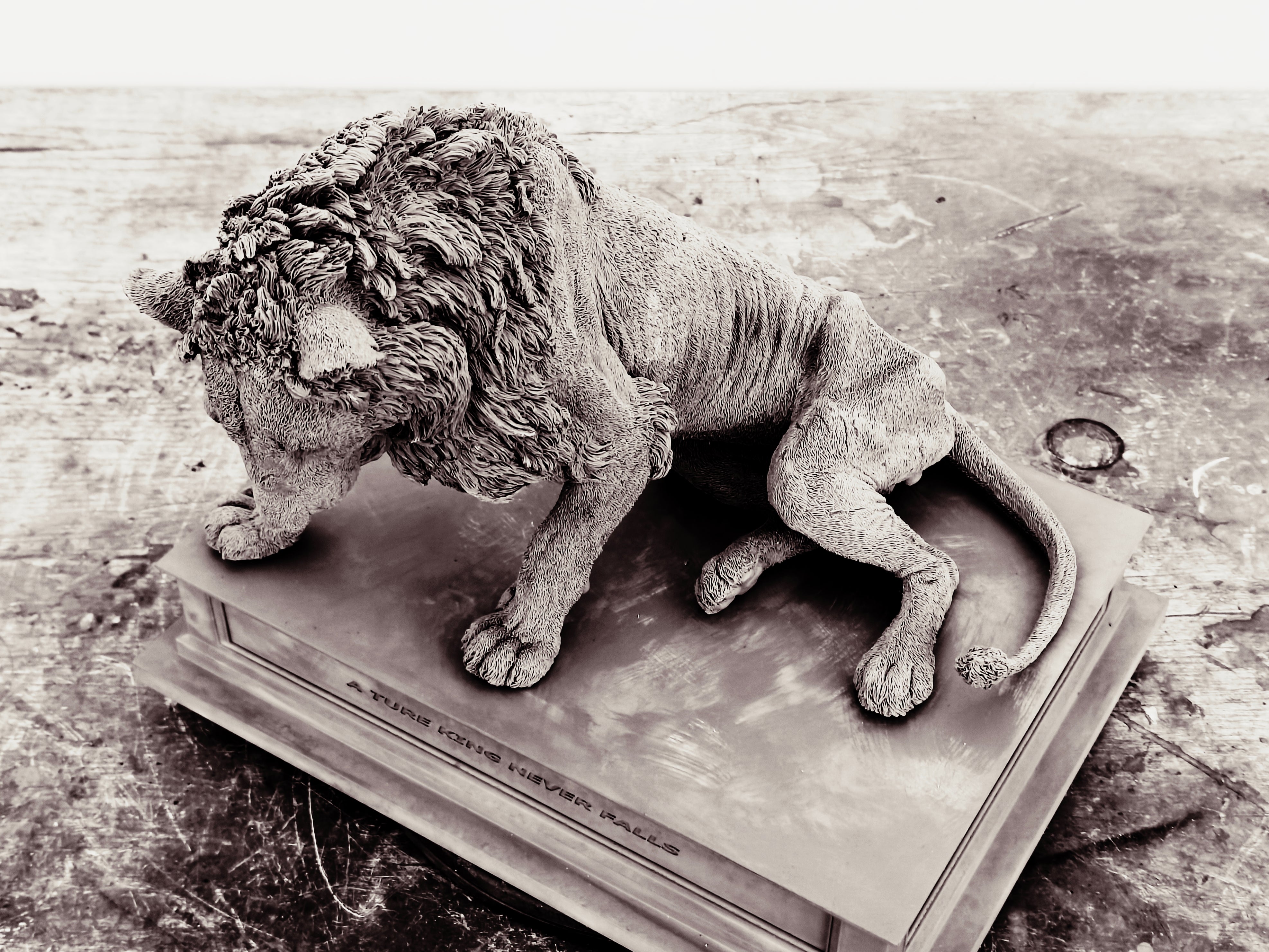 TUNAN Studio 1/6 Scale Lion Loonkito Model