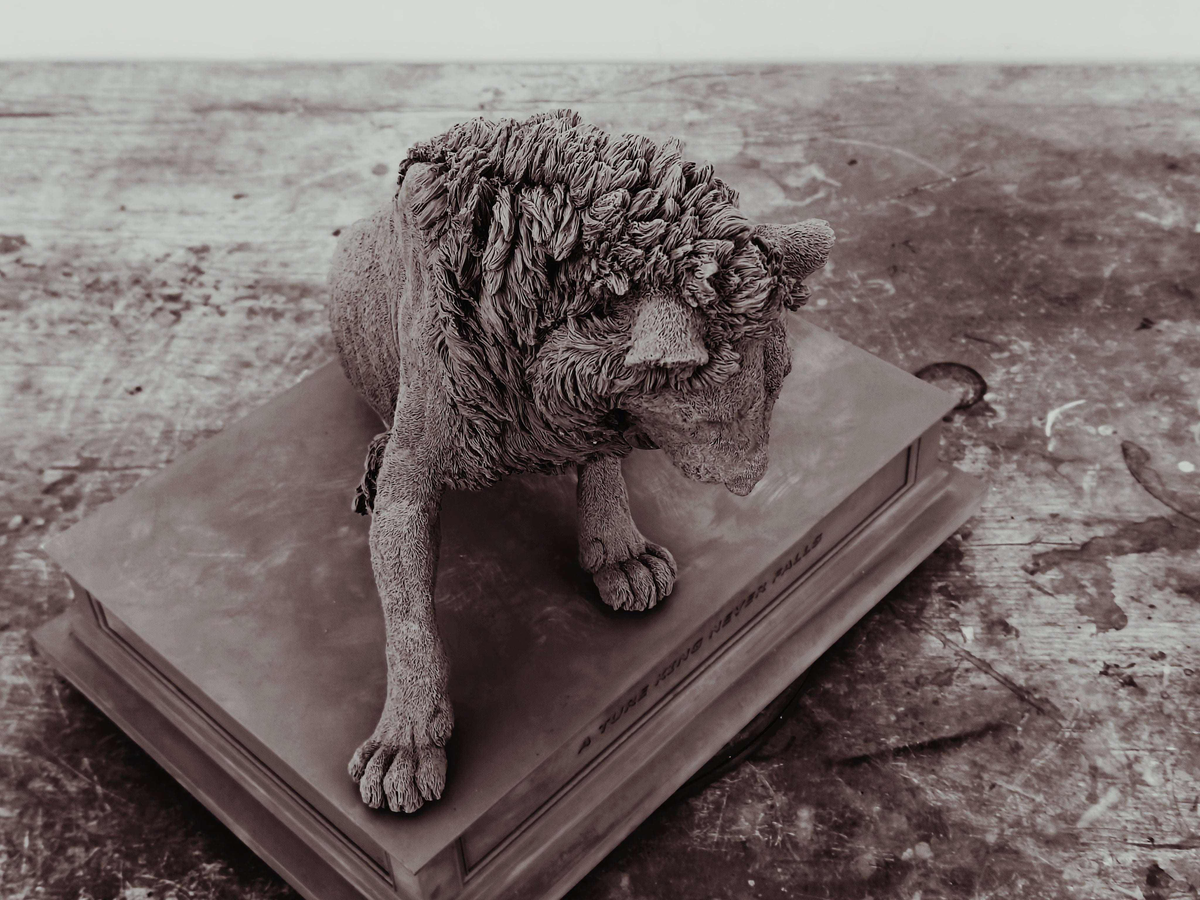 TUNAN Studio 1/6 Scale Lion Loonkito Model