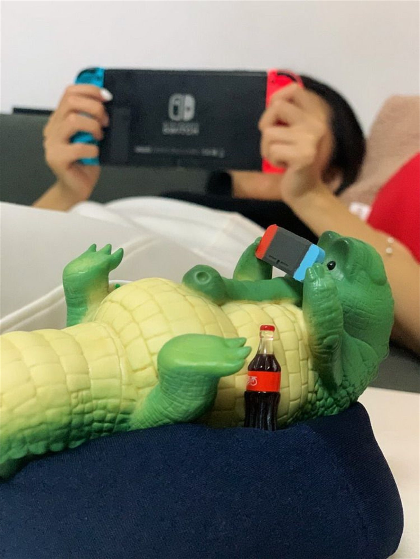 1/6 Scale Lazy Critters – Animals Lounging on the Sofa