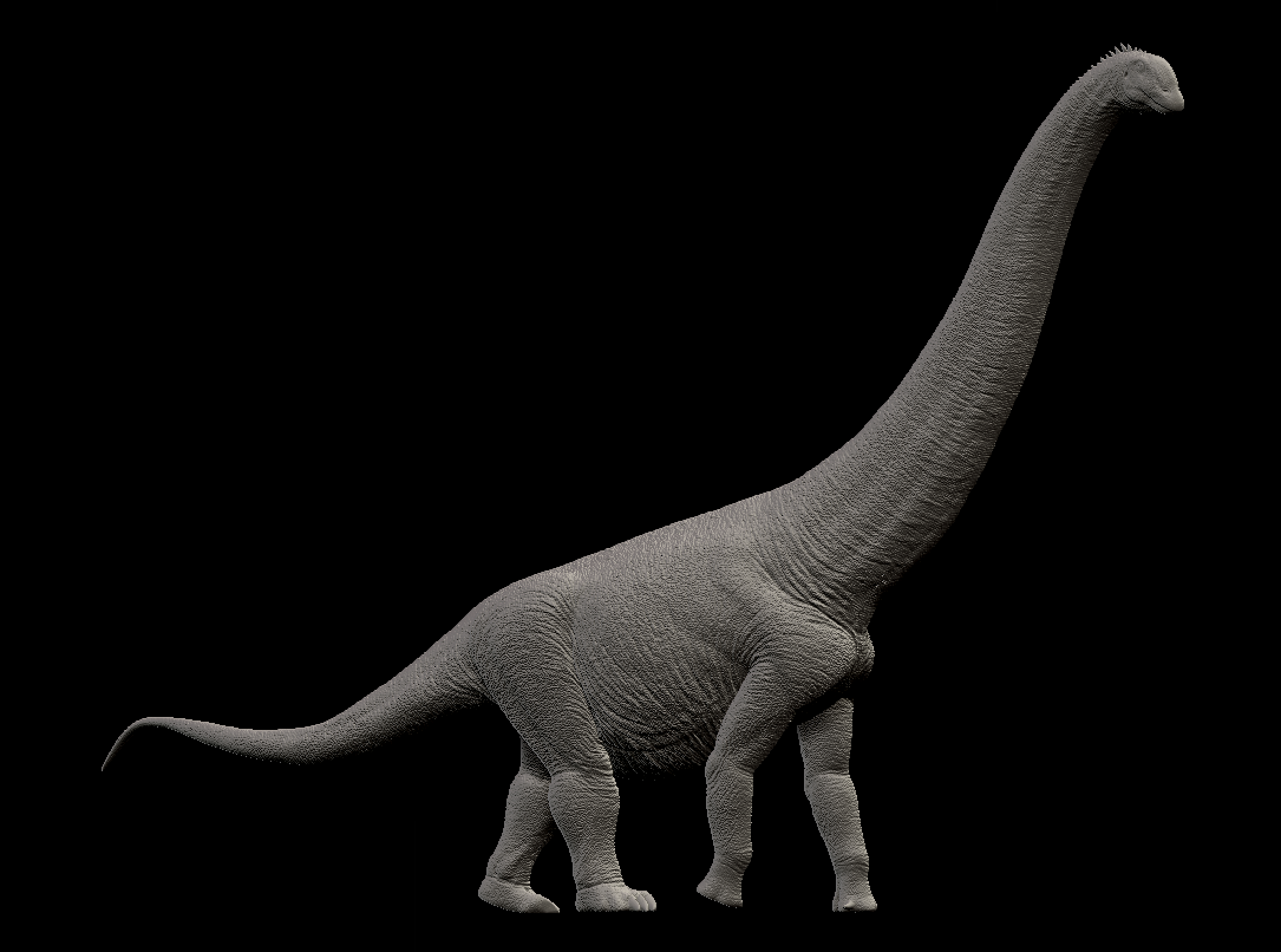 Sumeru Studio 1/35 Scale Huanghetitan liujiaxiaensis Model