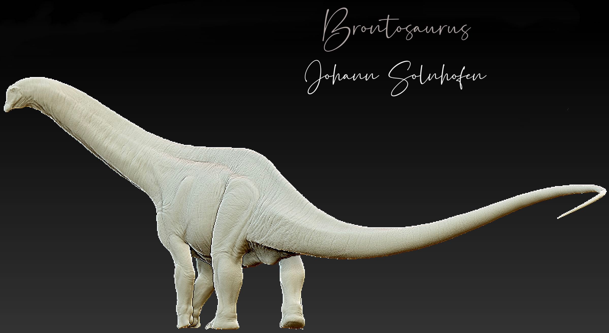 Rhapsody Mode Studio Brontosaurus Model
