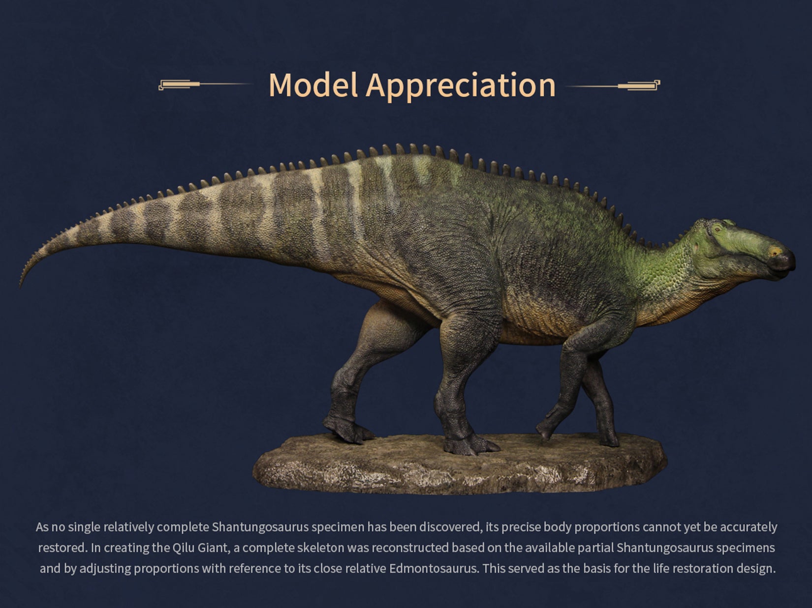 The Boundless World 1:35 Scale Shantungosaurus Figure