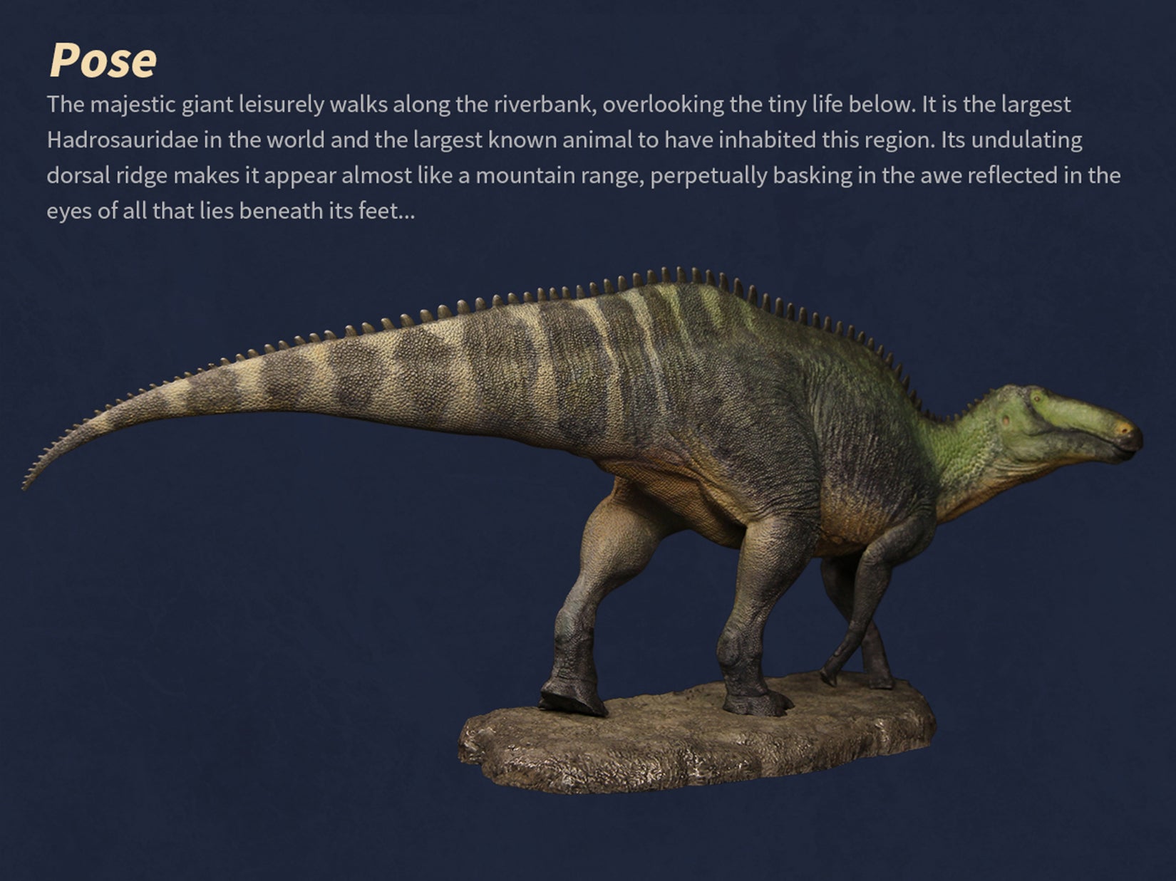 The Boundless World 1:35 Scale Shantungosaurus Figure