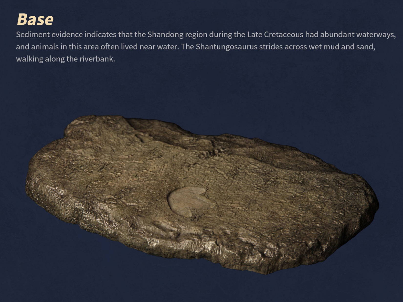 The Boundless World 1:35 Scale Shantungosaurus Figure