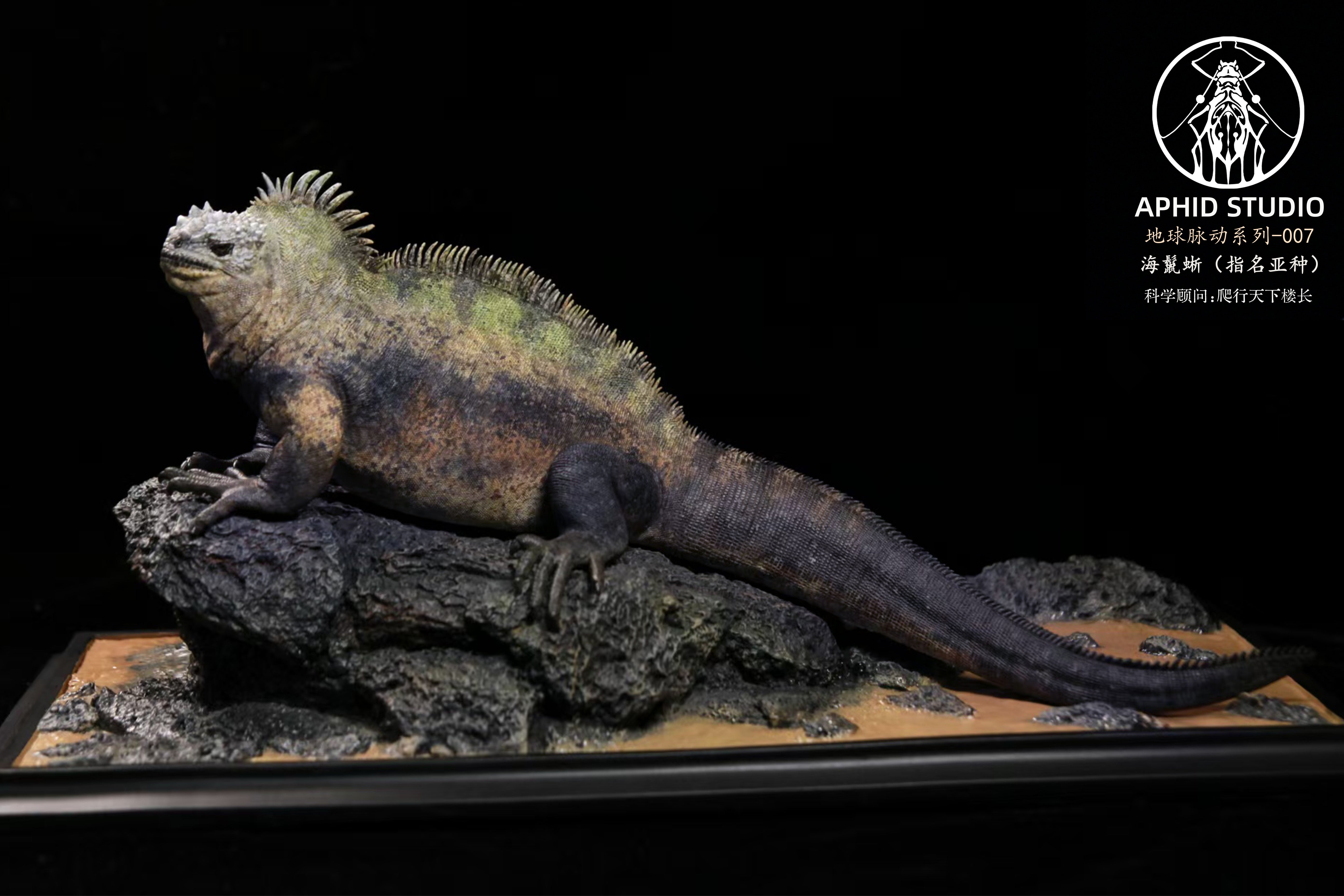 APHID STUDIO Marine iguana Model