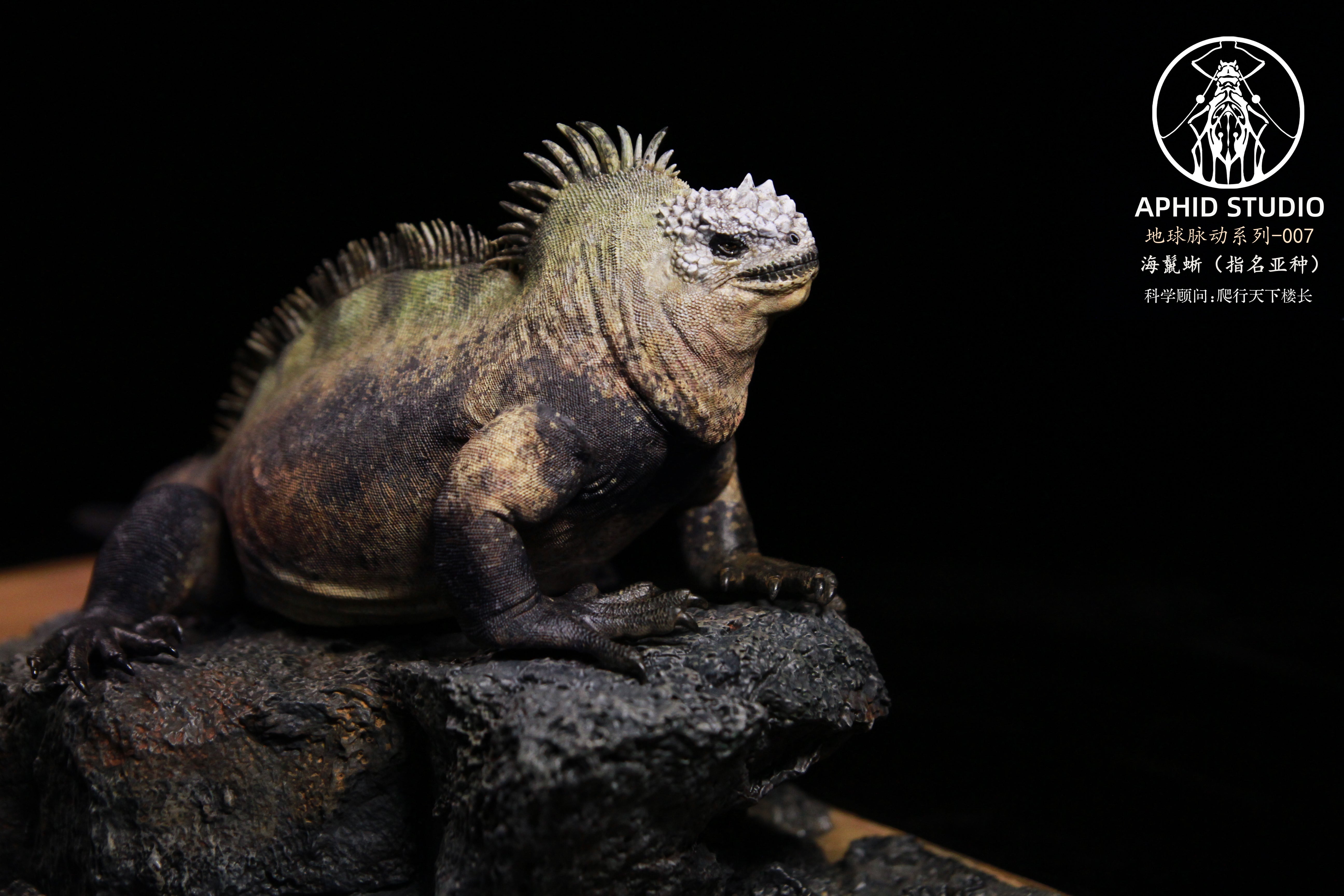 APHID STUDIO Marine iguana Model