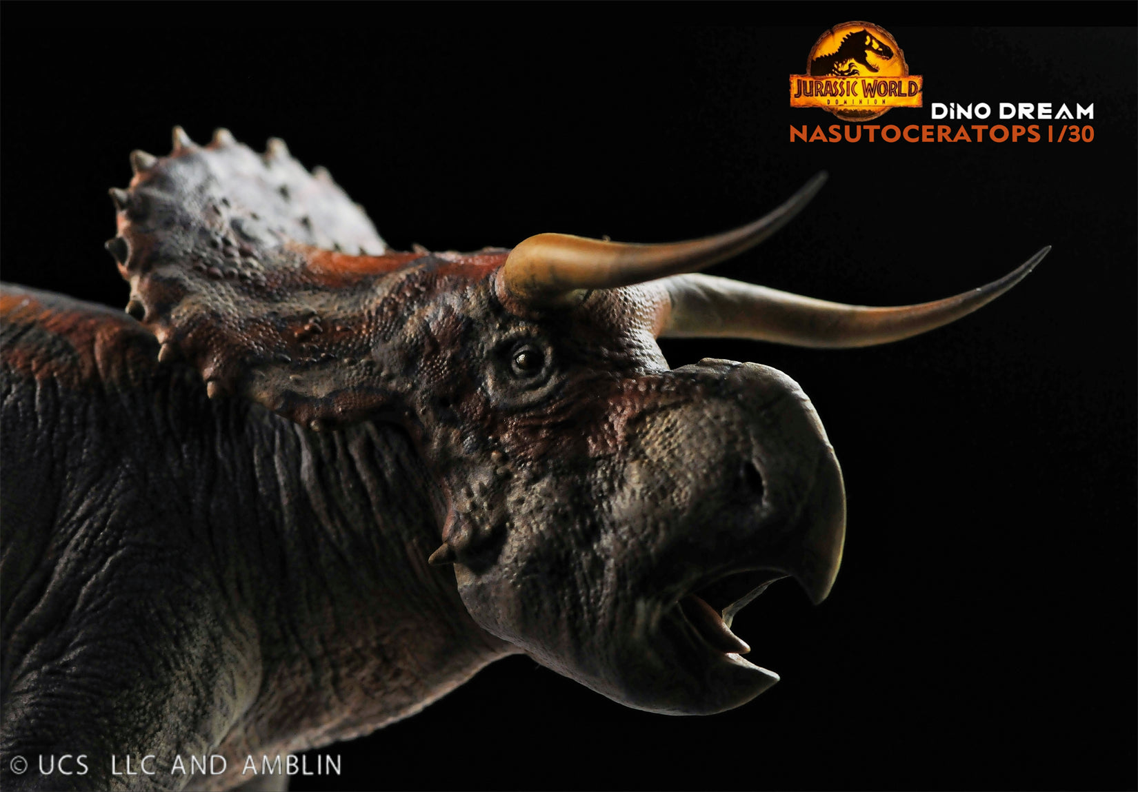 DINO DREAM 1:30 Scale Nasutoceratops Model