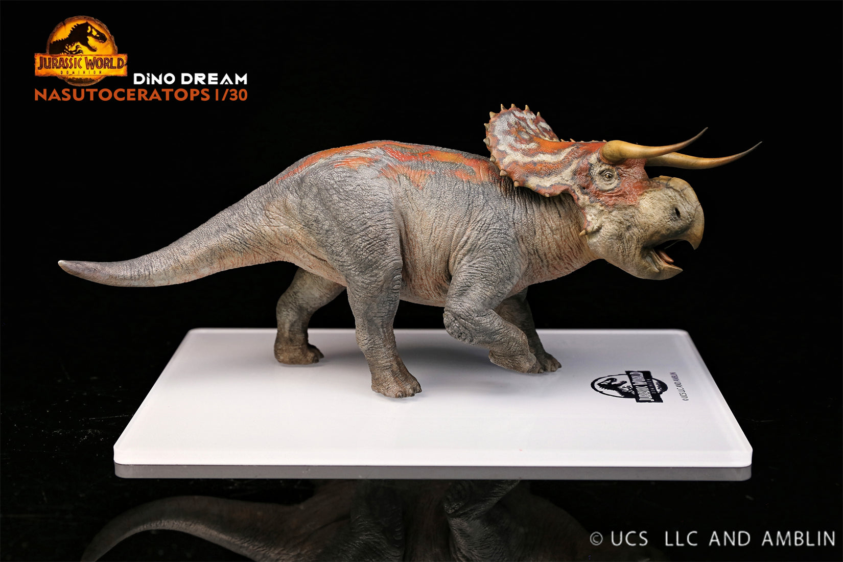 DINO DREAM 1:30 Scale Nasutoceratops Model