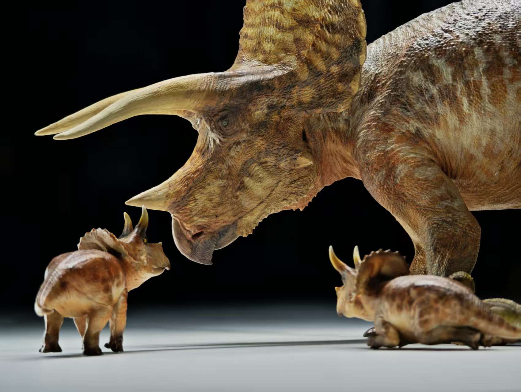 Carson Long STUDIO Triceratops horridus Model