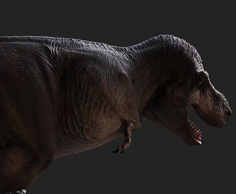 Lemon Studio Tyrannosaurus Rex ED COPE Model