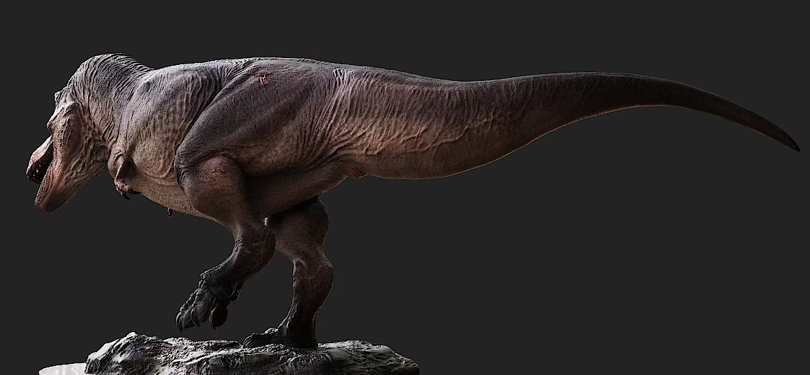 Lemon Studio Tyrannosaurus Rex ED COPE Model