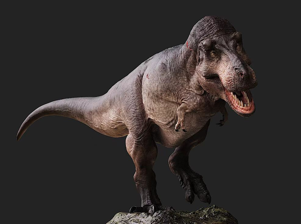 Lemon Studio Tyrannosaurus Rex ED COPE Model
