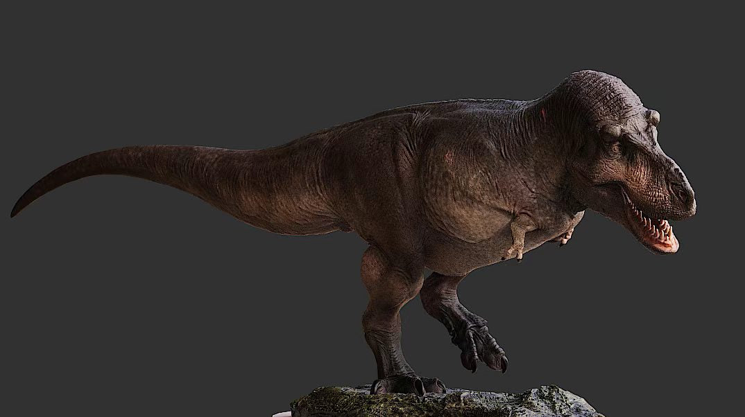 Lemon Studio Tyrannosaurus Rex ED COPE Model