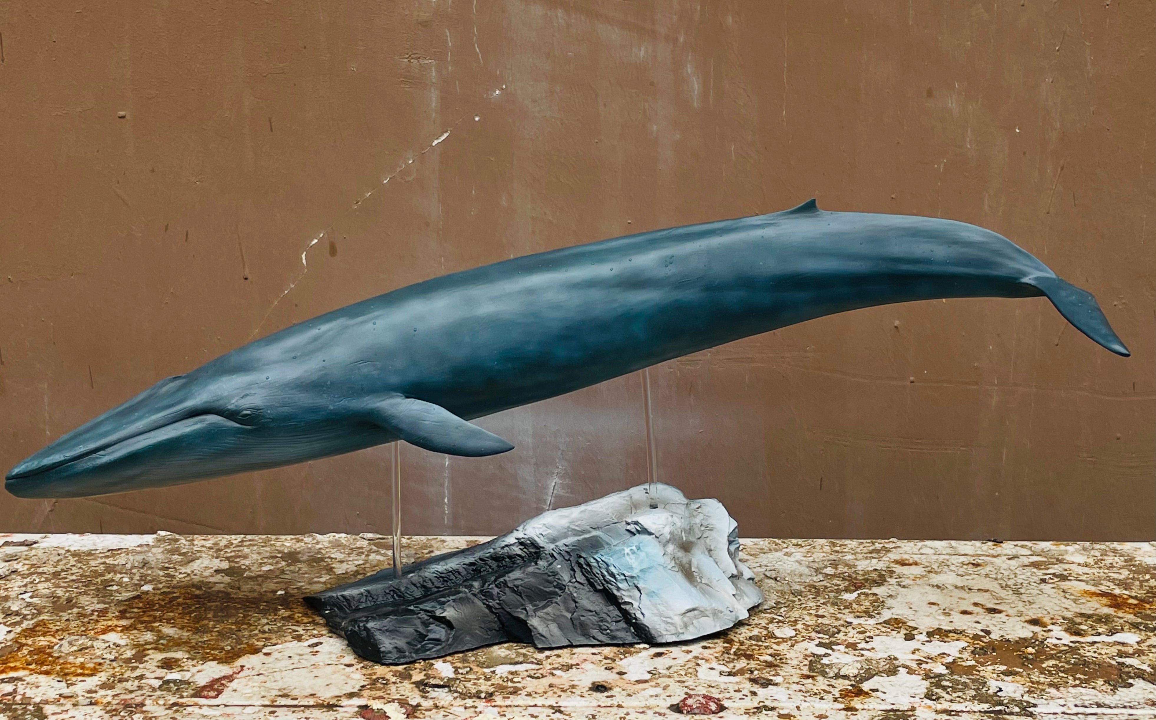 Rhapsody Mode Studio Blue Whale Model