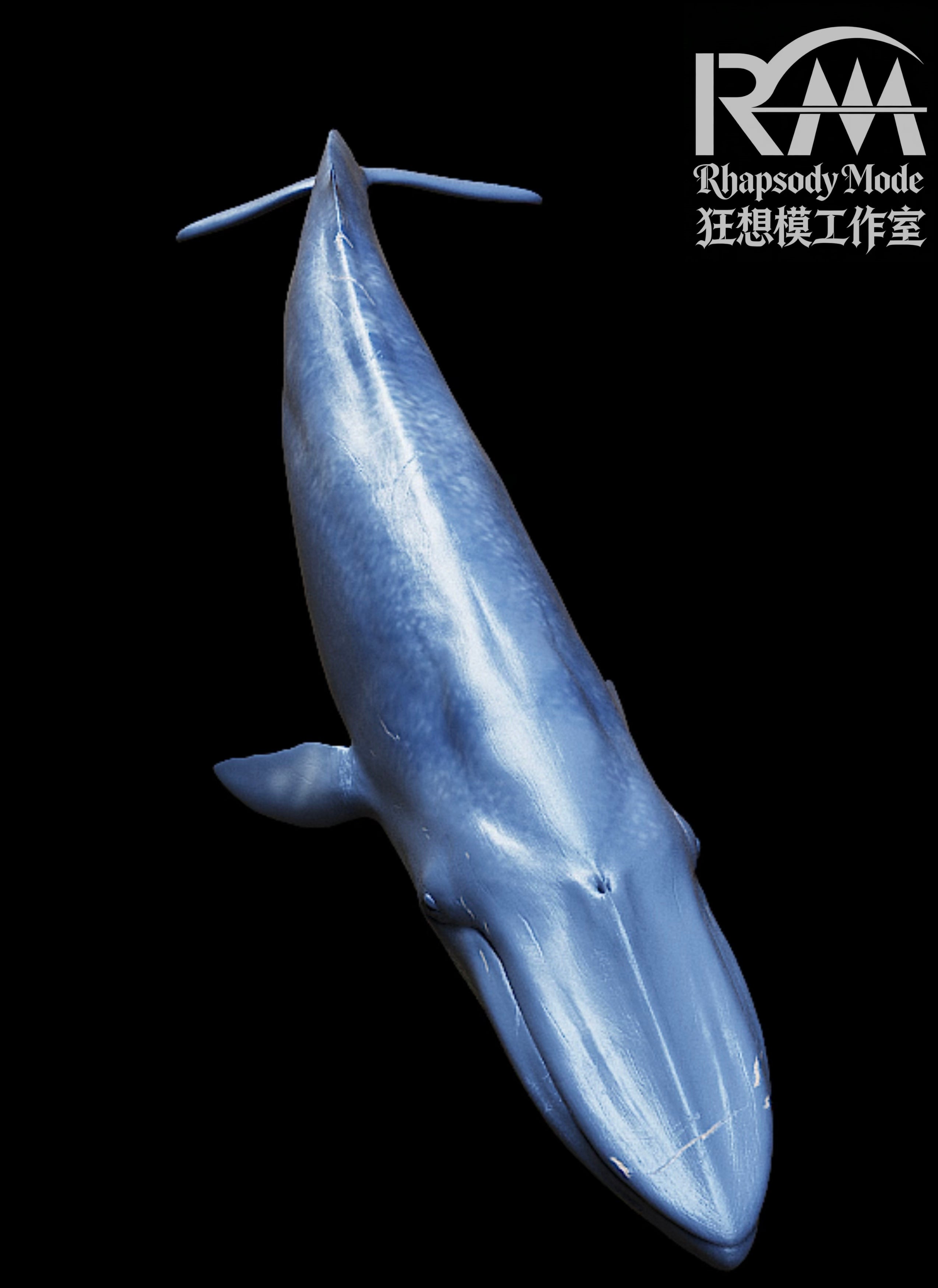 Rhapsody Mode Studio Blue Whale Model
