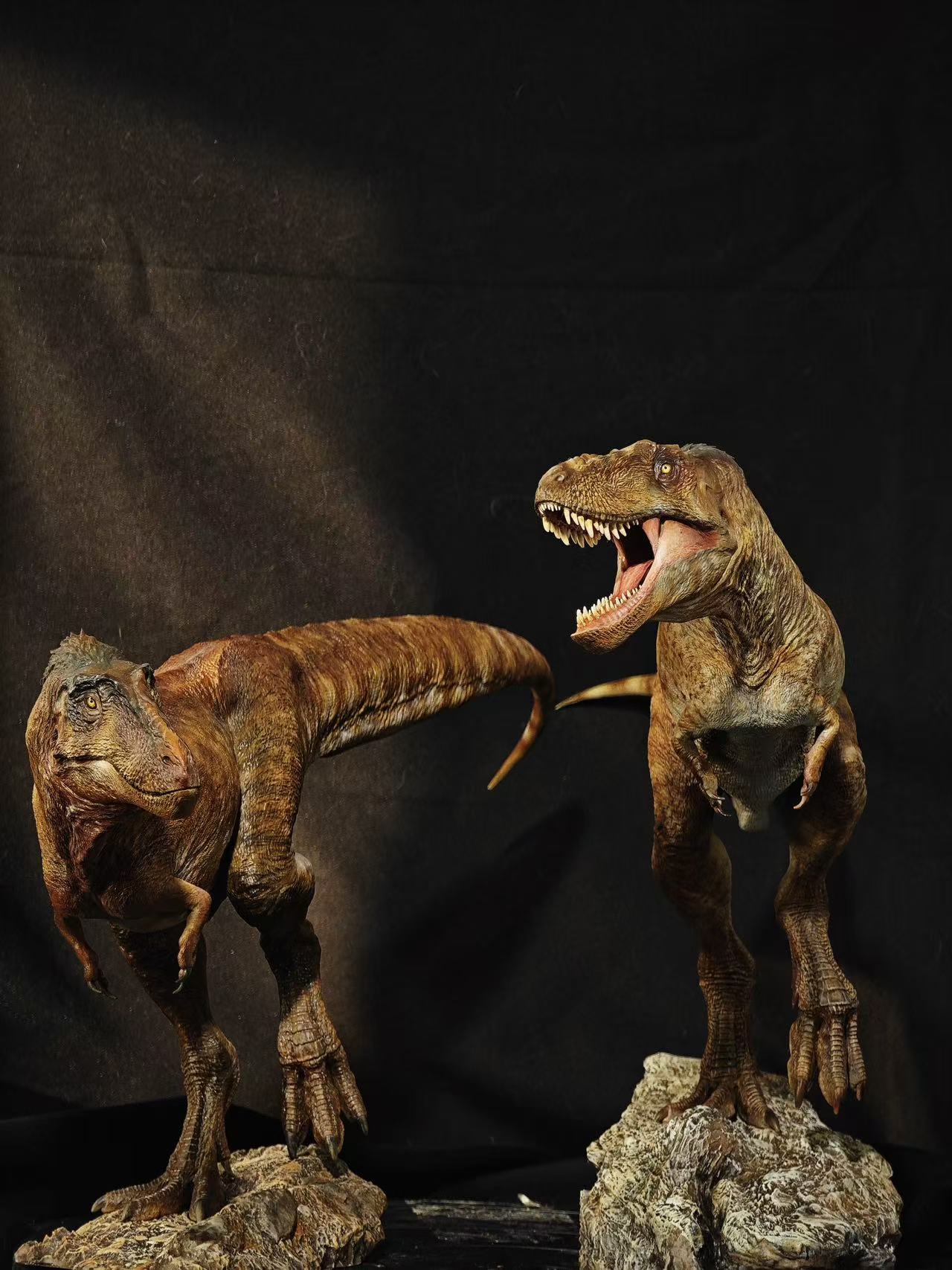Carson Long STUDIO Asiatyrannus xui Model