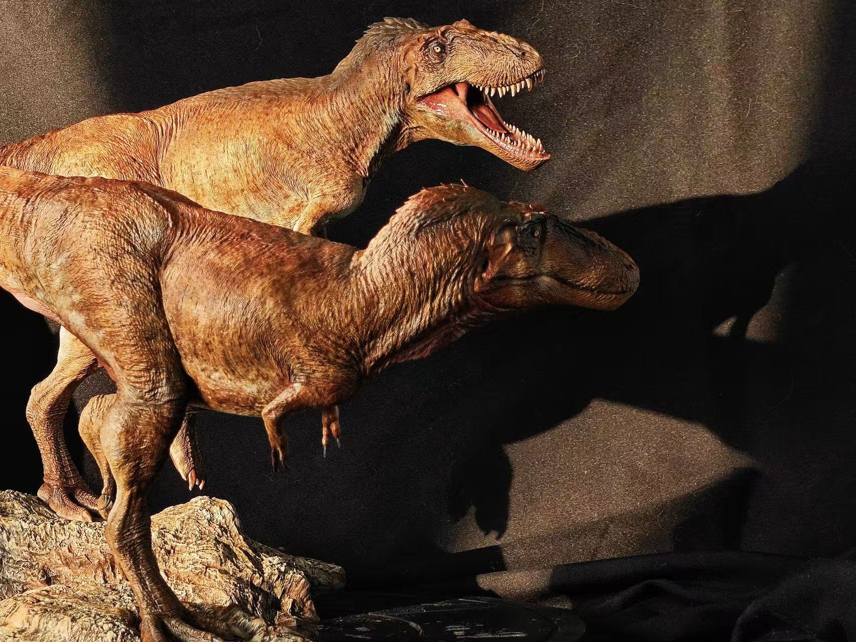 Carson Long STUDIO Asiatyrannus xui Model