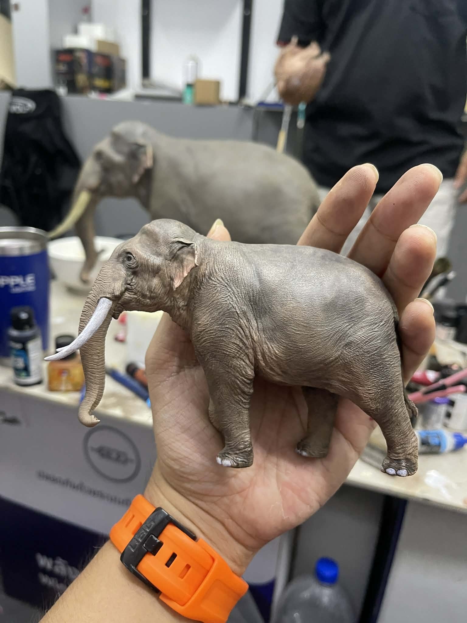 The Crocs Man Studio Asian Elephant Model