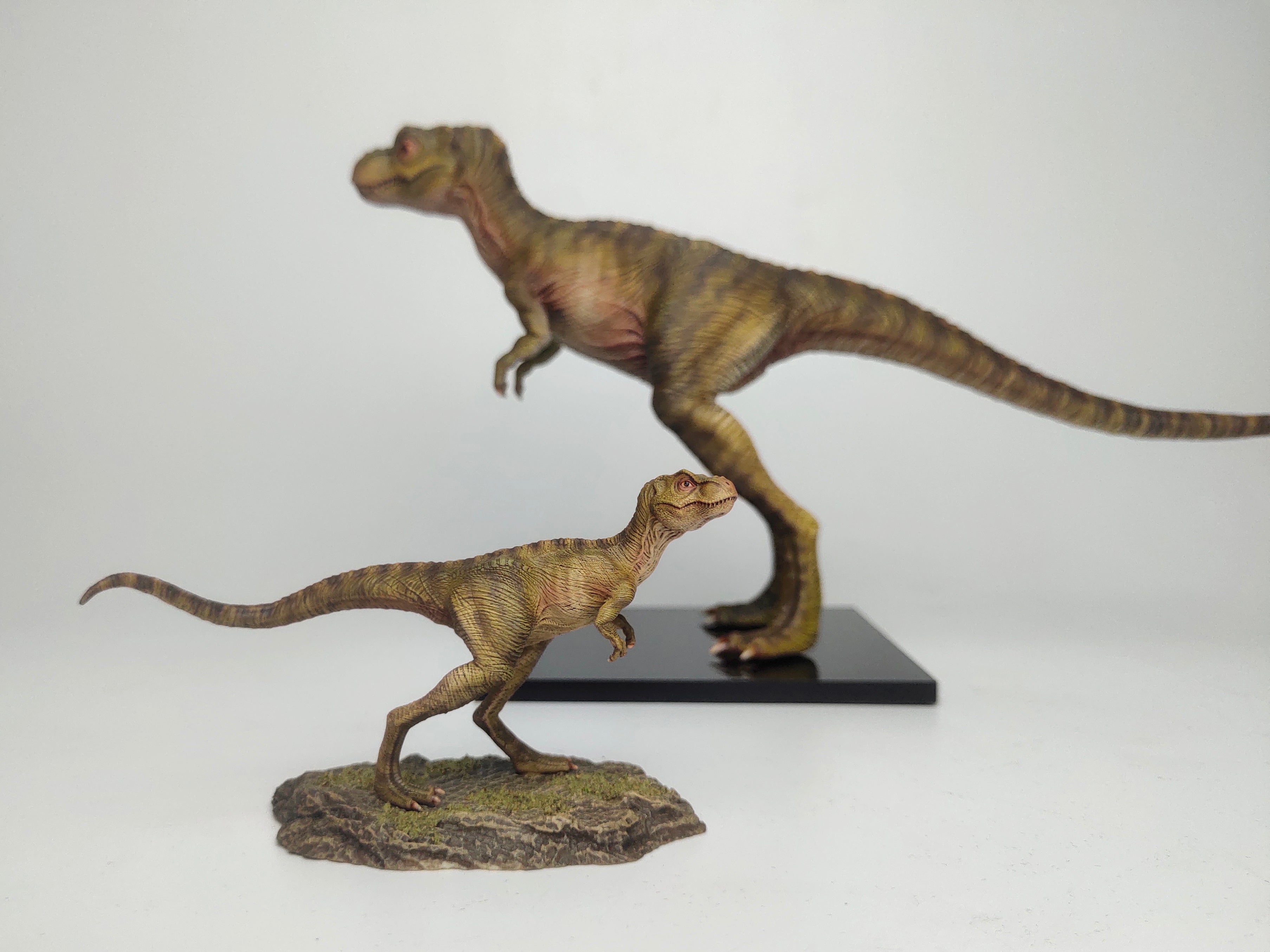 JM 1/35 Scale Juvenile Tyrannosaurus Rex Model