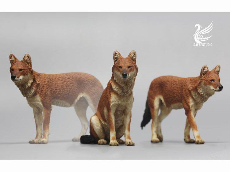 DAFEI Dhole Model