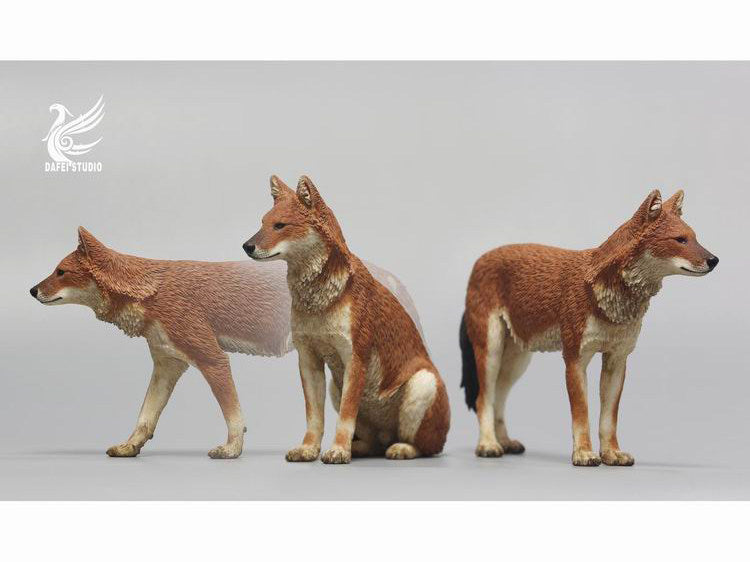 DAFEI Dhole Model