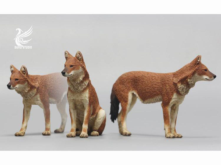 DAFEI Dhole Model