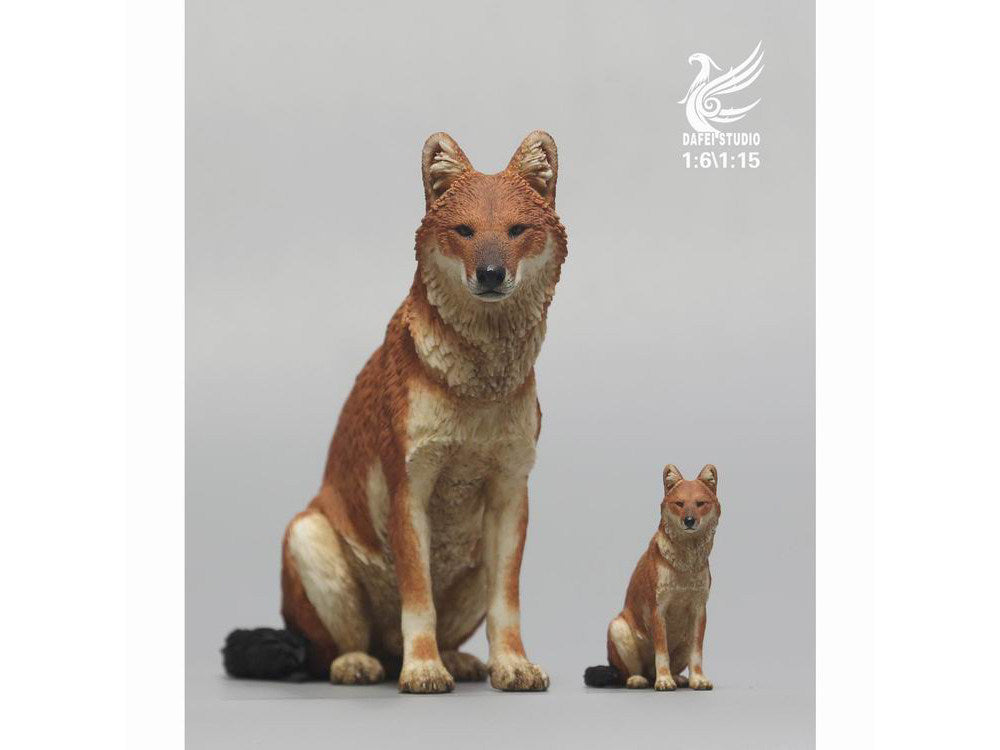 DAFEI Dhole Model