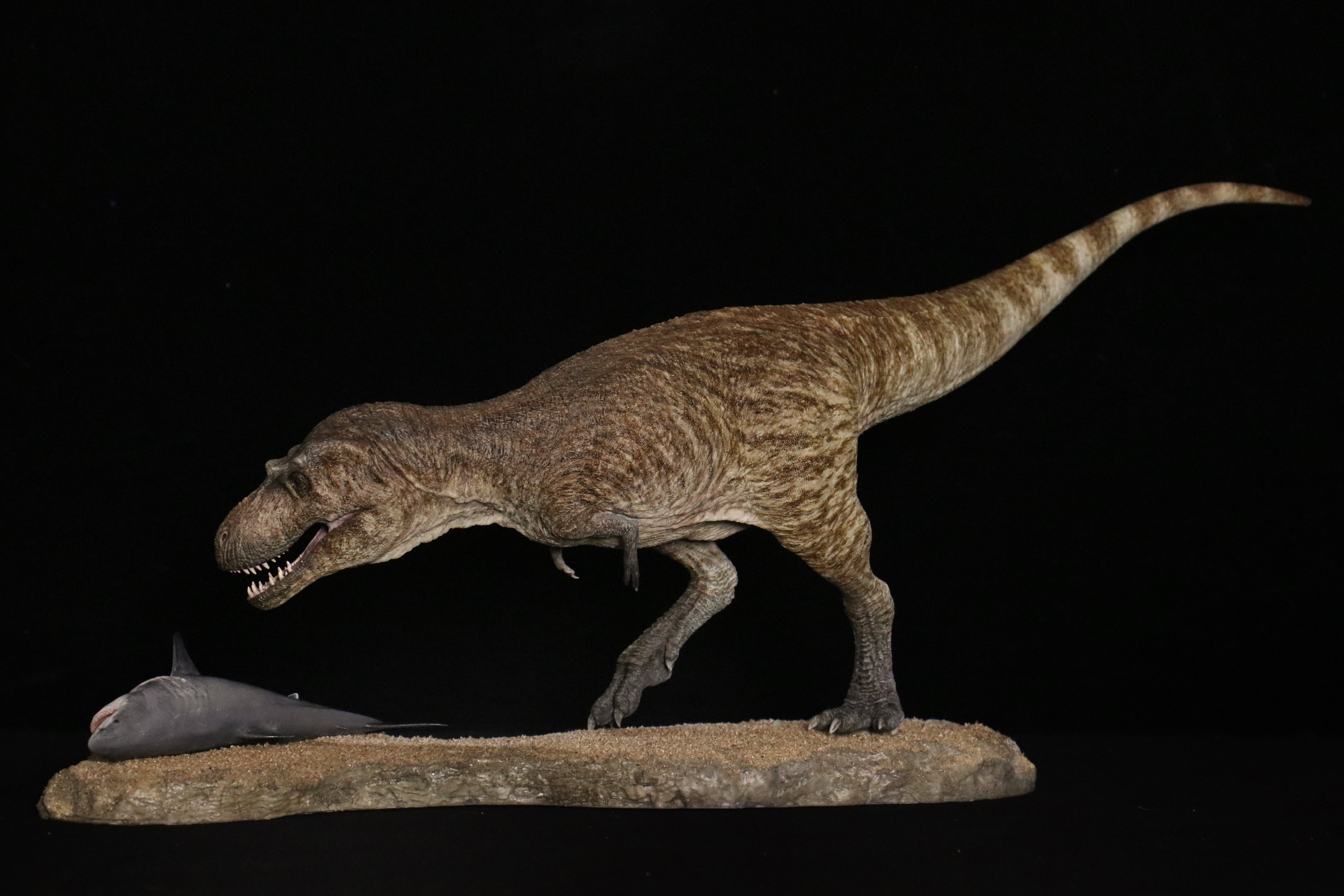 Vikas Prajapat Lythronax Cretoxyrhina Model