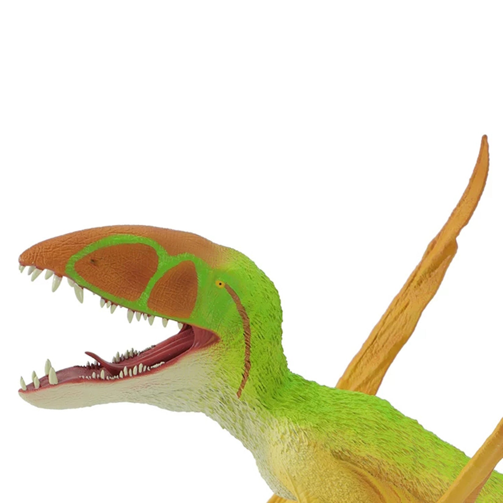 RECUR Dimorphodon Model  Dinosaur Scene Decor