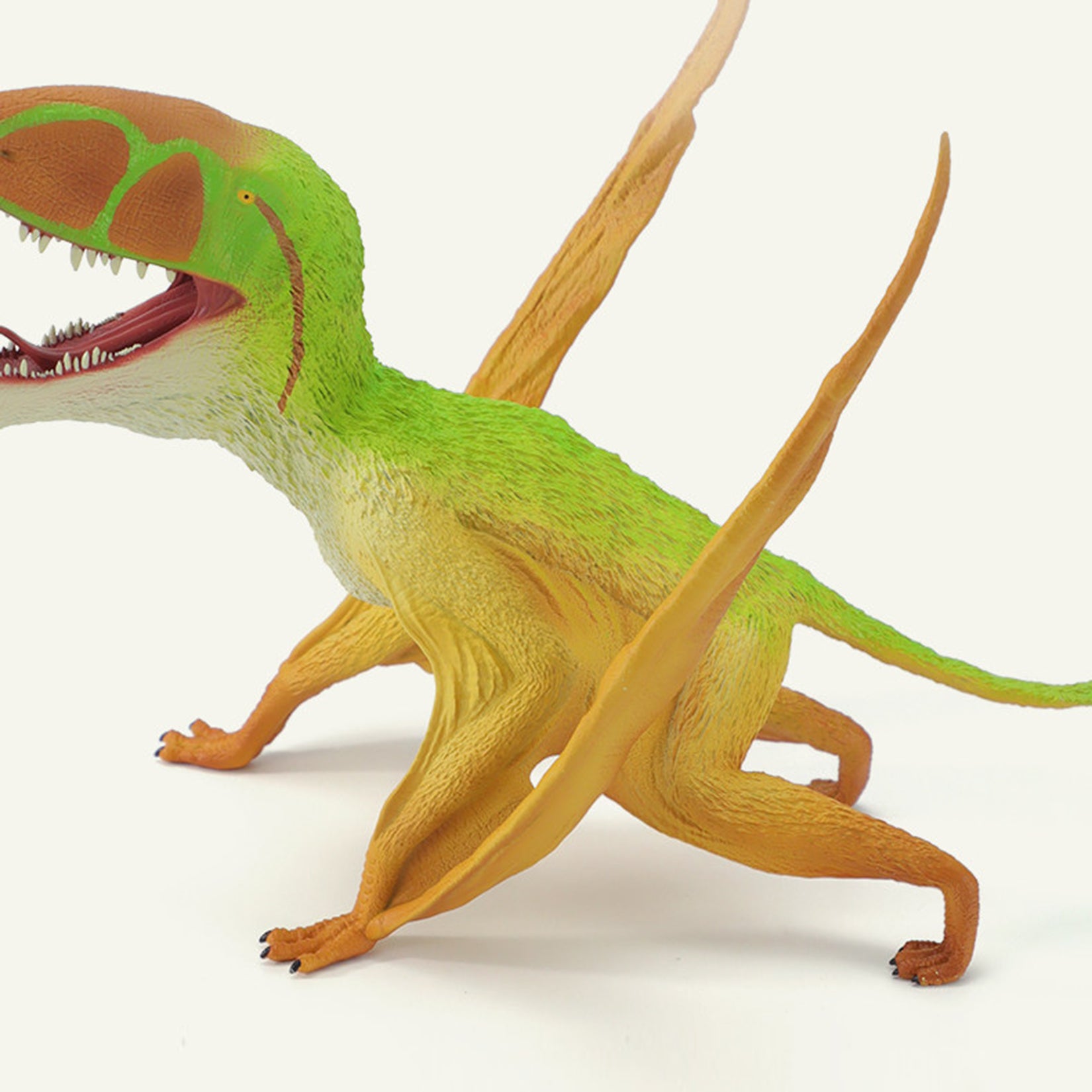 RECUR Dimorphodon Model  Dinosaur Scene Decor