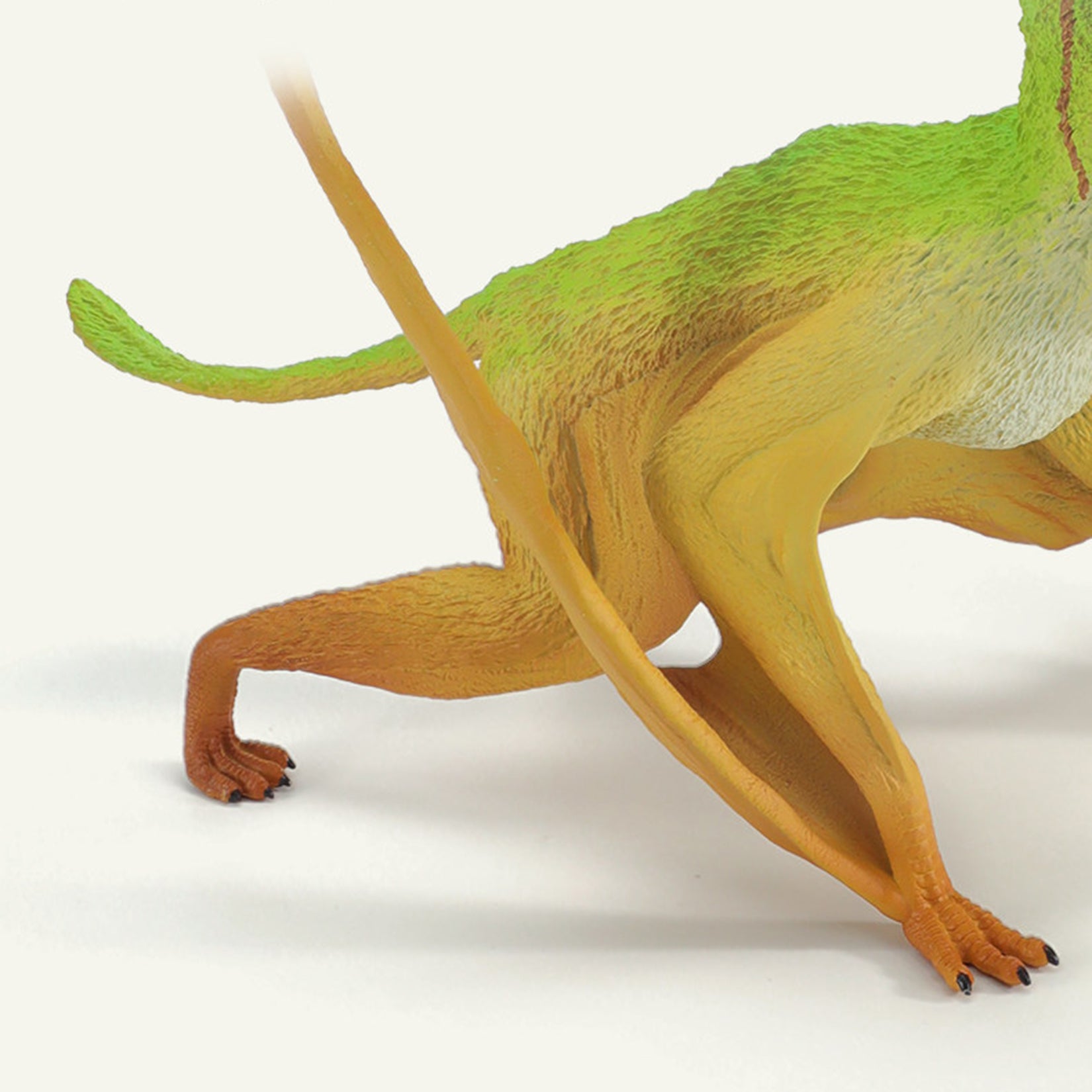 RECUR Dimorphodon Model  Dinosaur Scene Decor