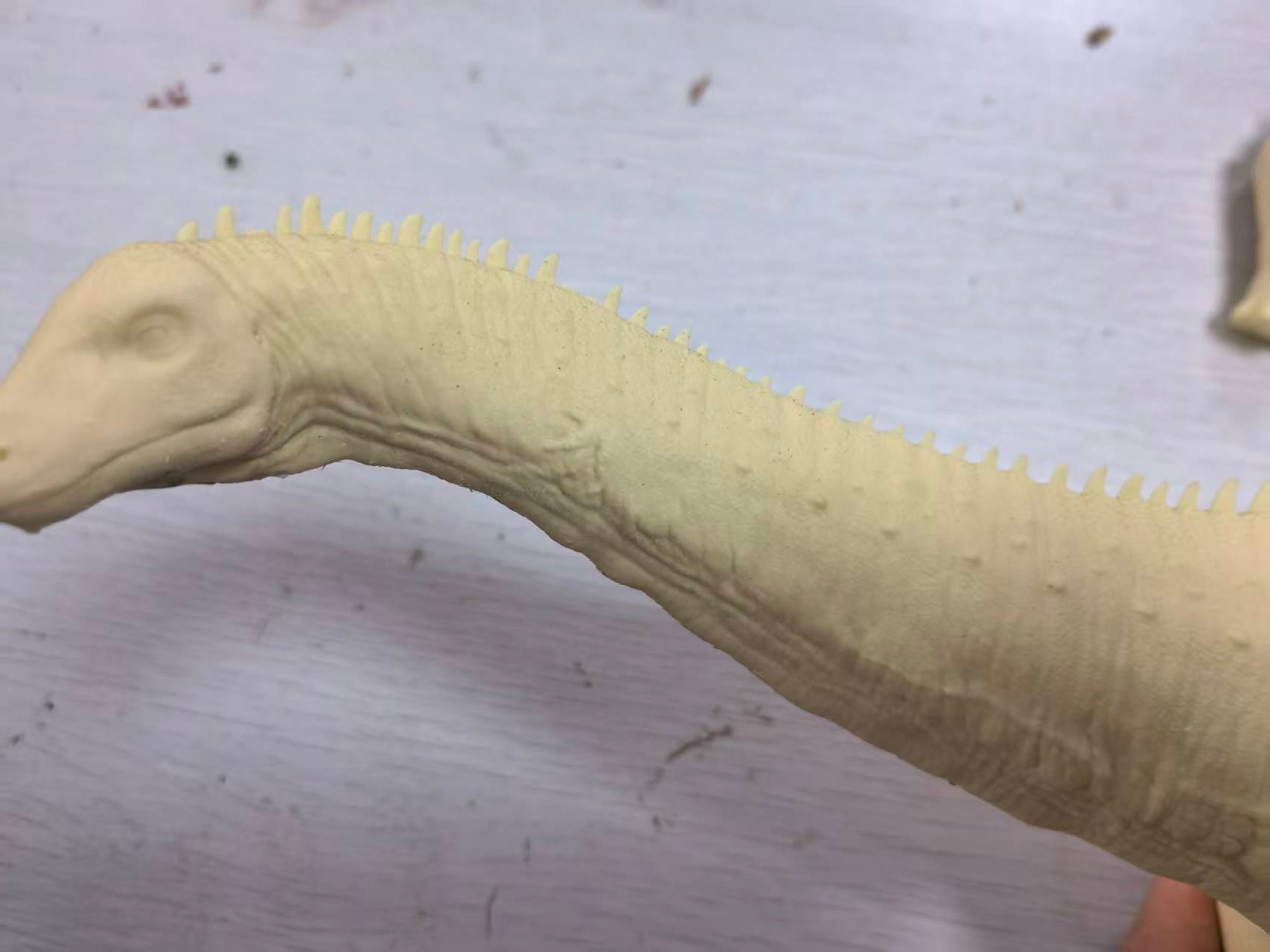 Anningpale 1:35 Scale Maraapunisaurus Model Damaged Version