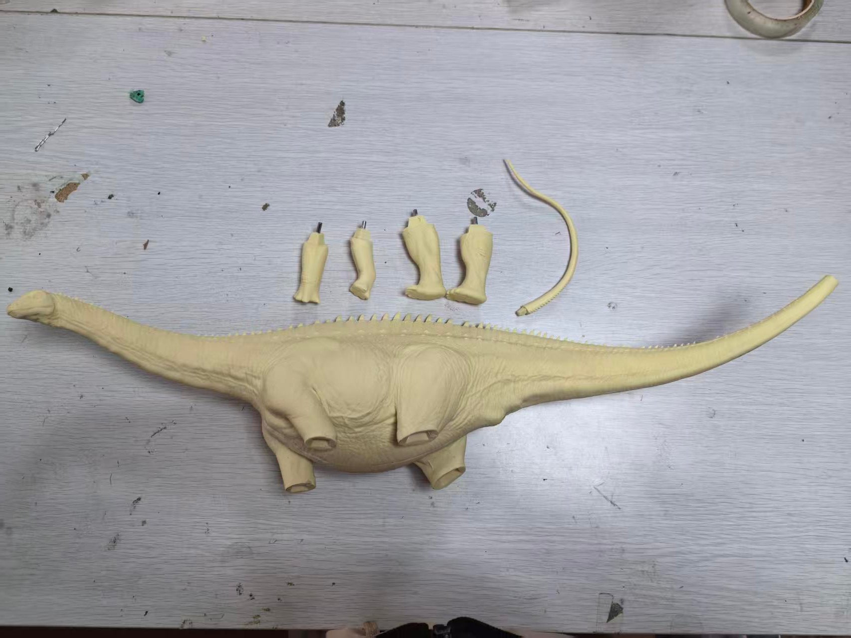 Anningpale 1:35 Scale Maraapunisaurus Model Damaged Version