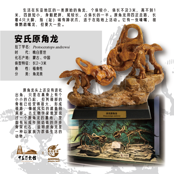 Dinosaur Series Blind Box Model