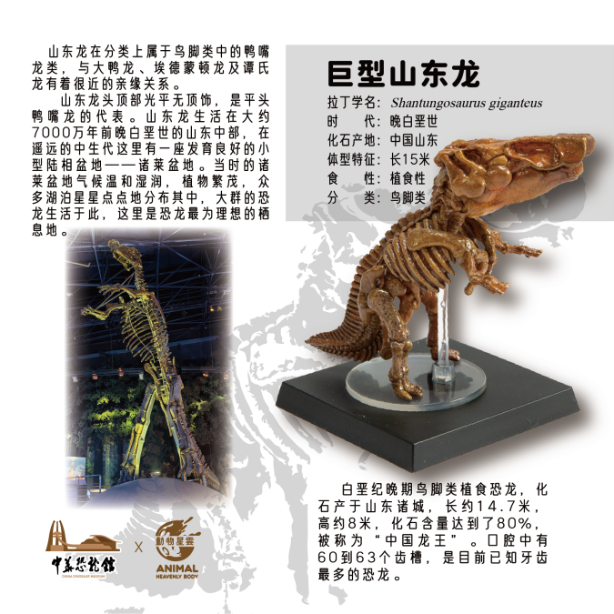 Dinosaur Series Blind Box Model