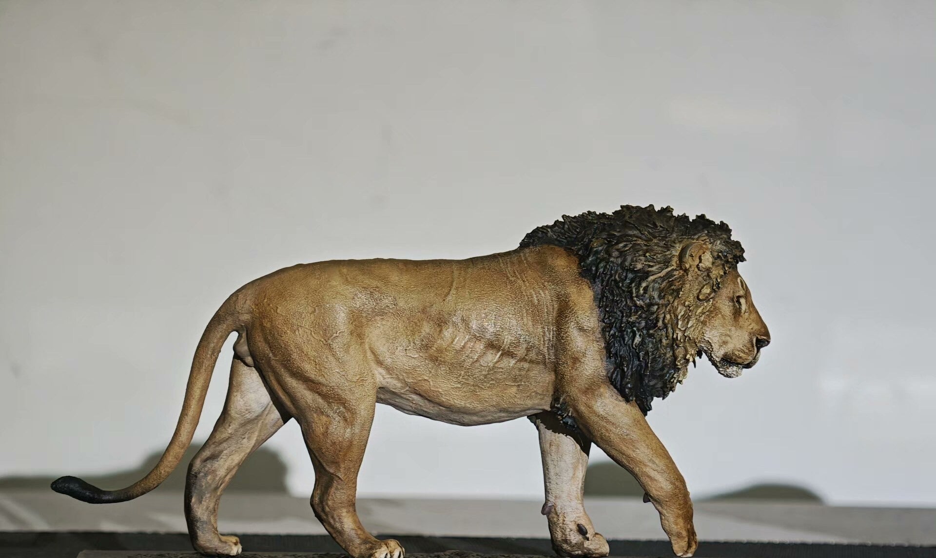 Art&Evolution Studio African Lion Lorkulup Model
